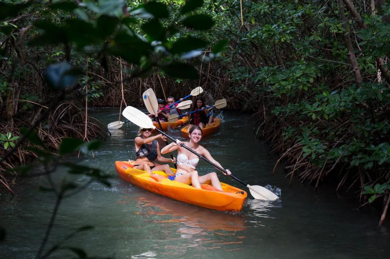 Garden in South Coast Horizon