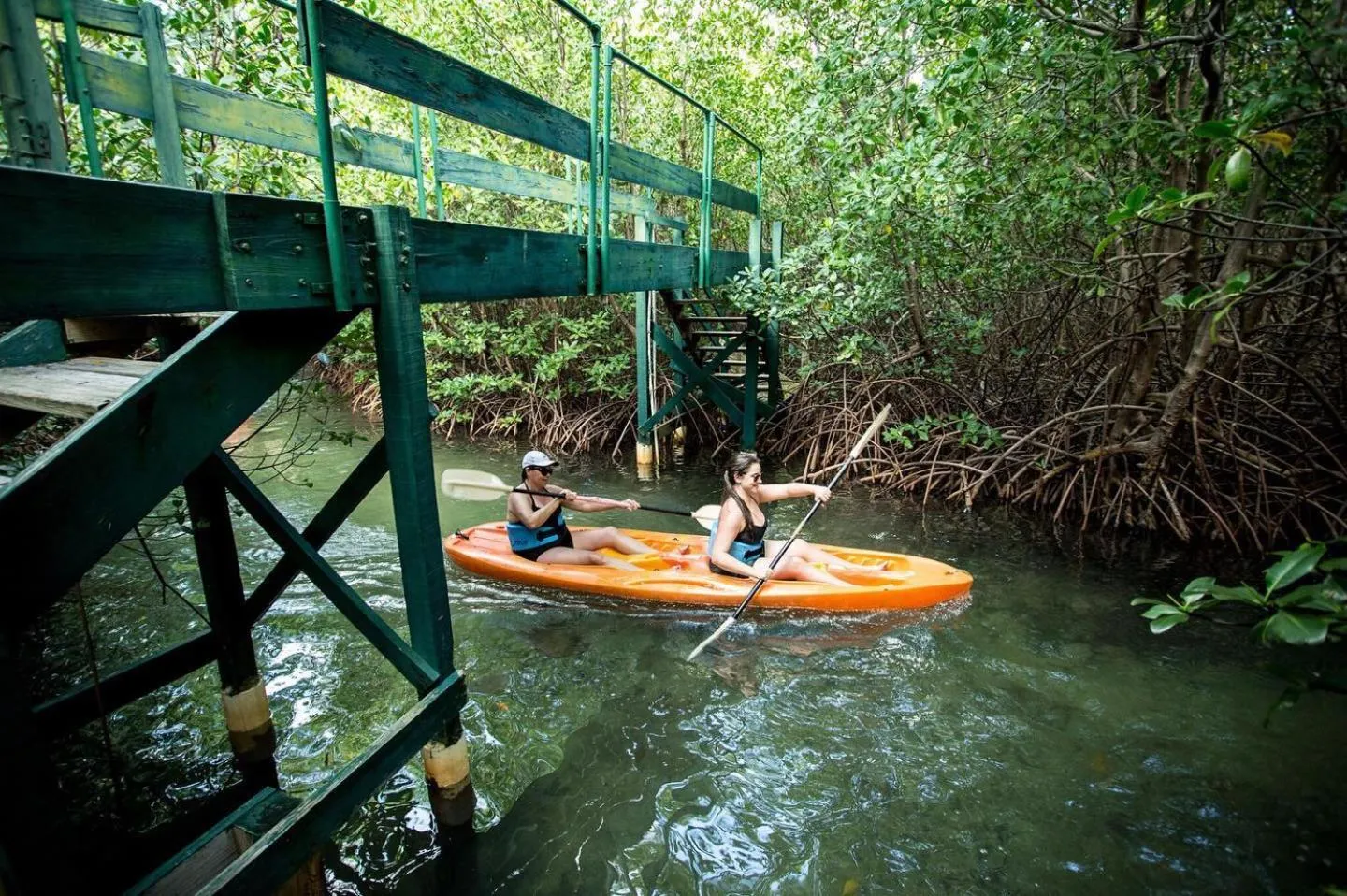 Canoeing in South Coast Horizon