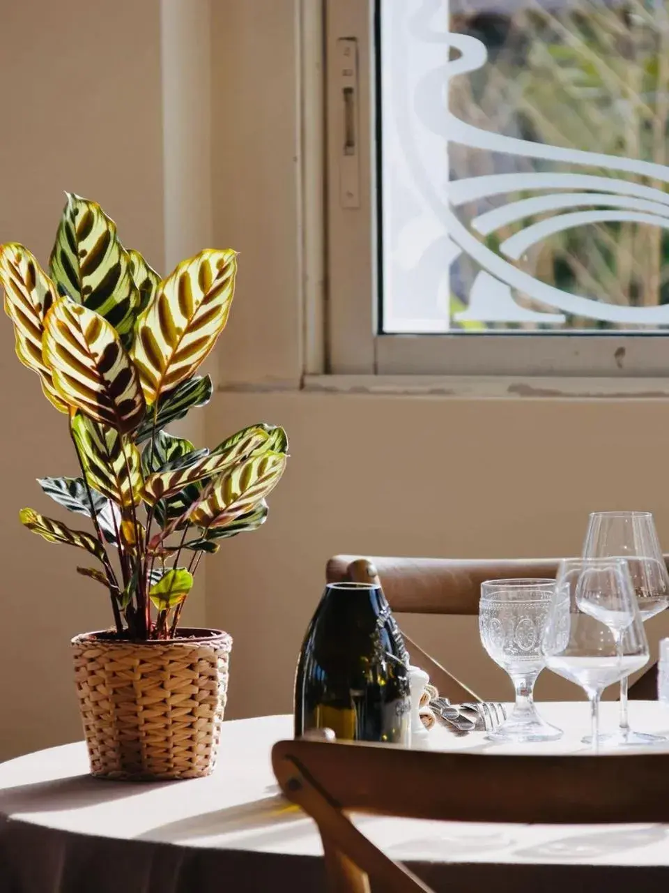 Lounge or bar in Adonis Sanary Grand Hôtel des Bains Lounge or bar in Adonis Sanary Grand Hôtel des Bains