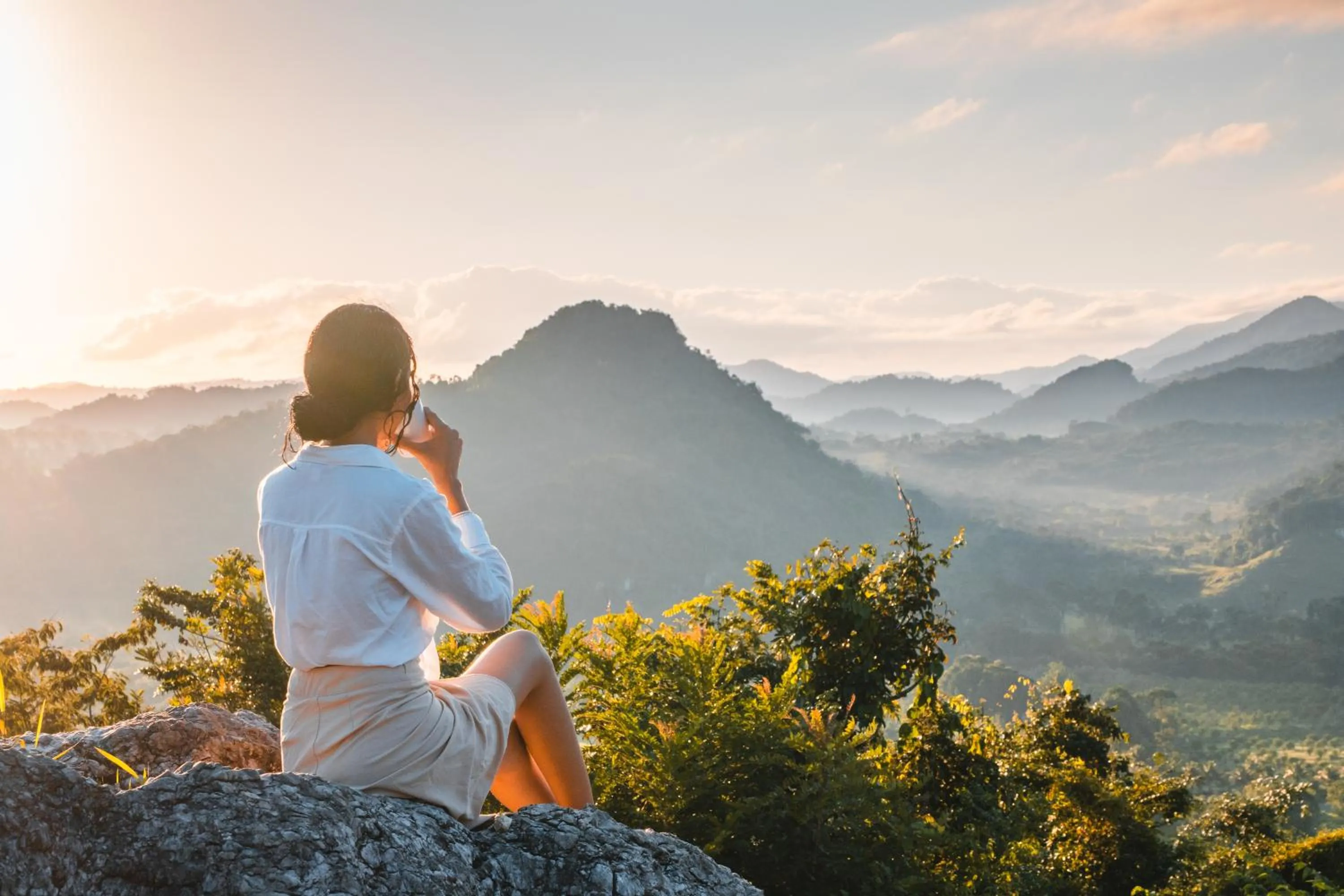 Natural landscape in Sleeping Giant Rainforest Lodge