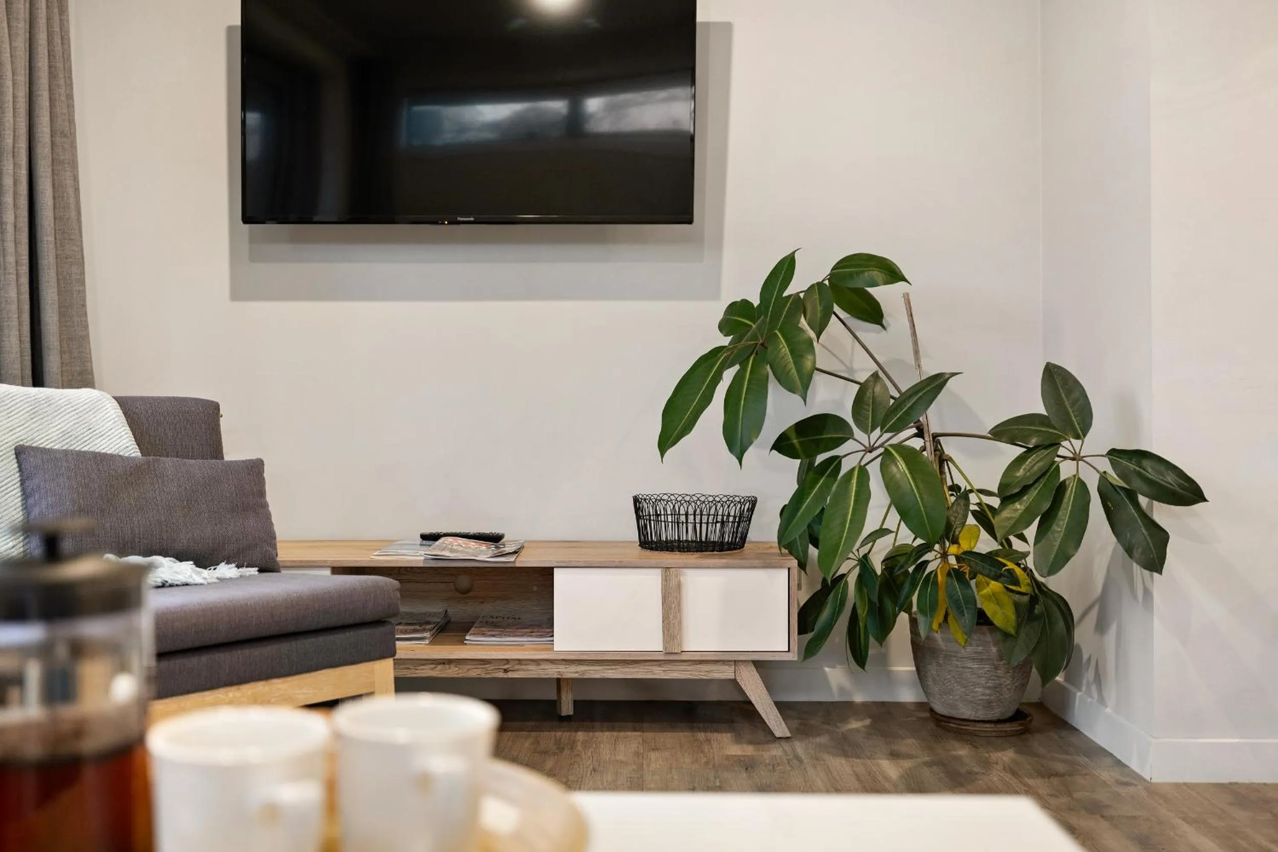 TV and multimedia in Arrowtown Motel