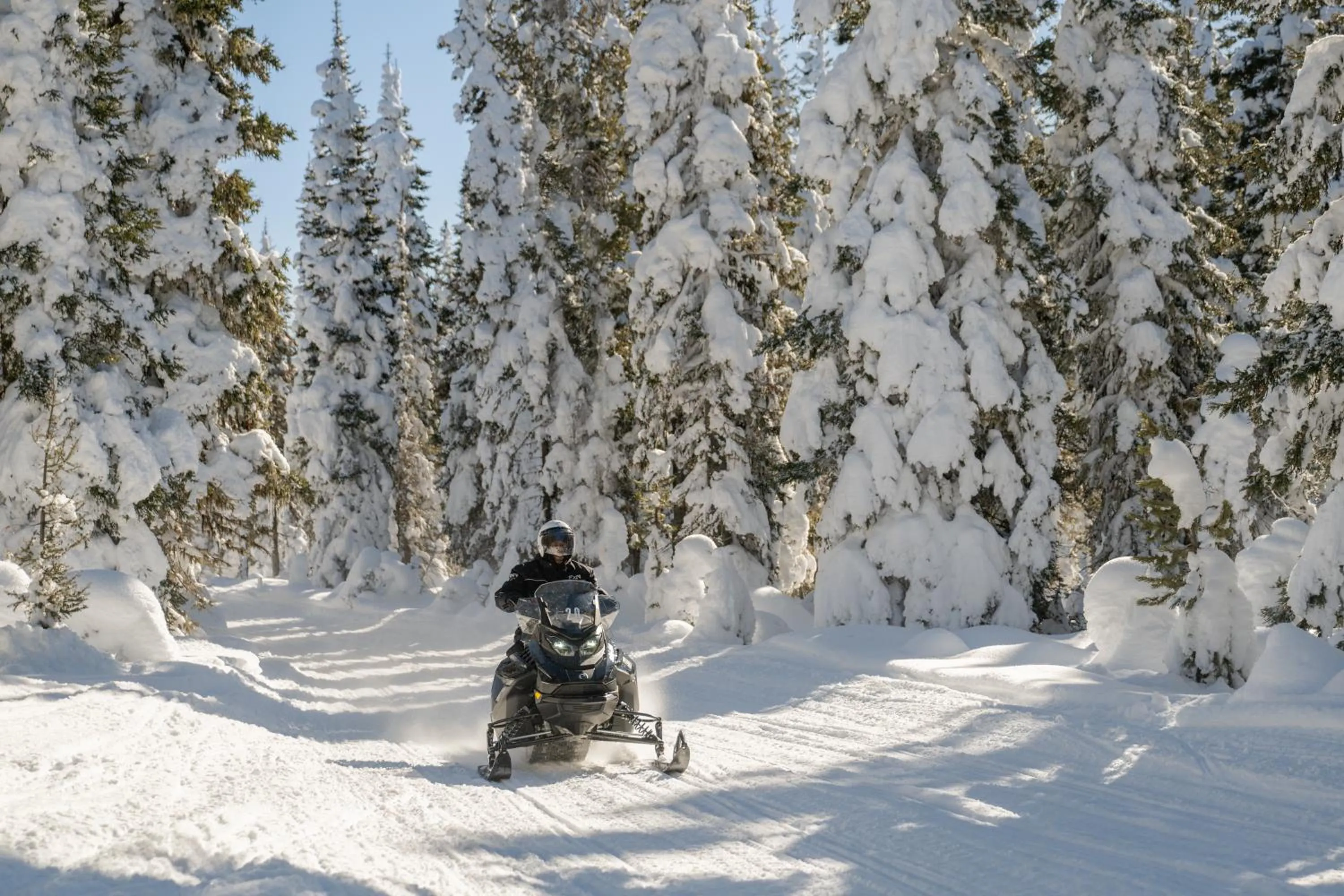 Explorer Cabins at Yellowstone