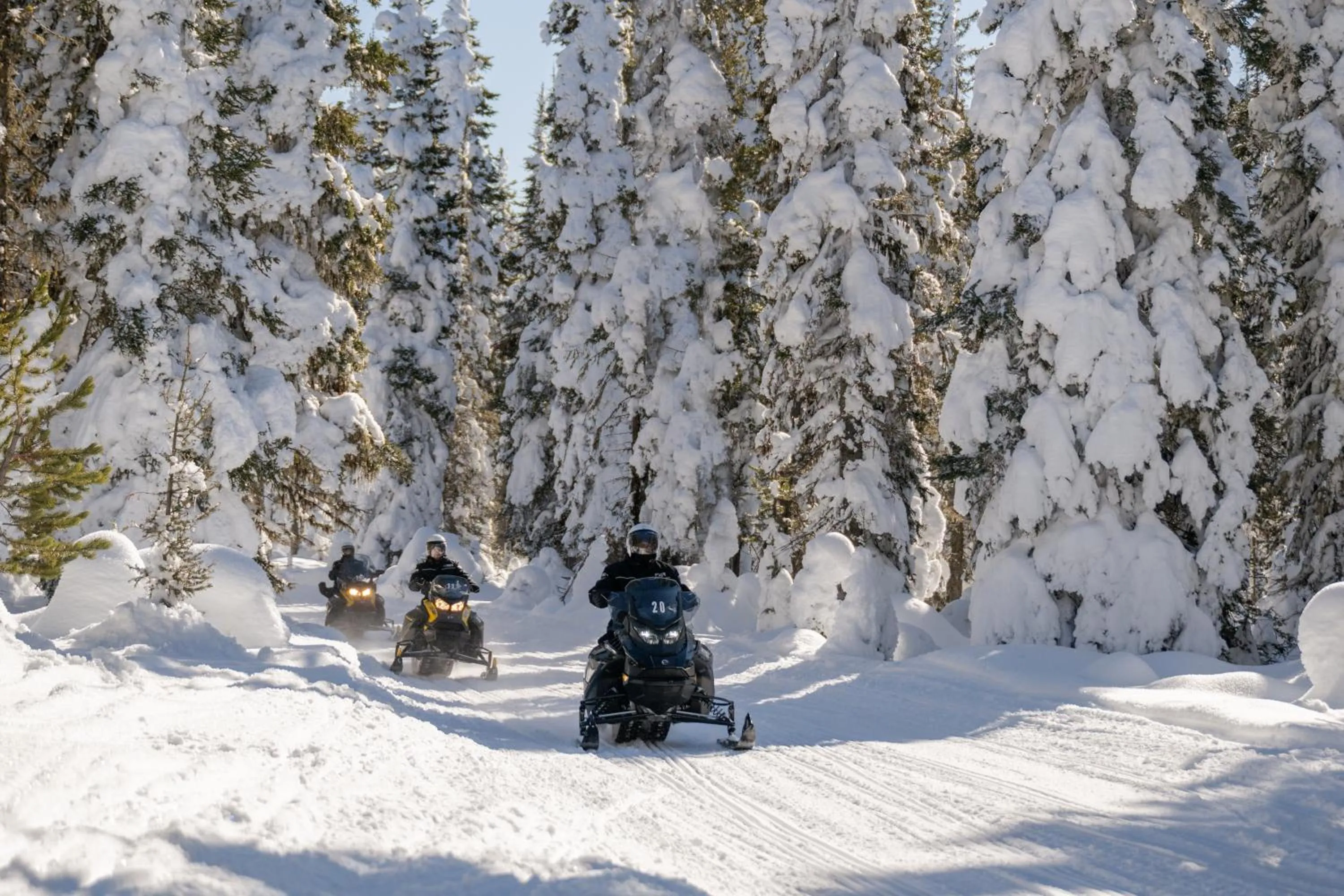 Explorer Cabins at Yellowstone