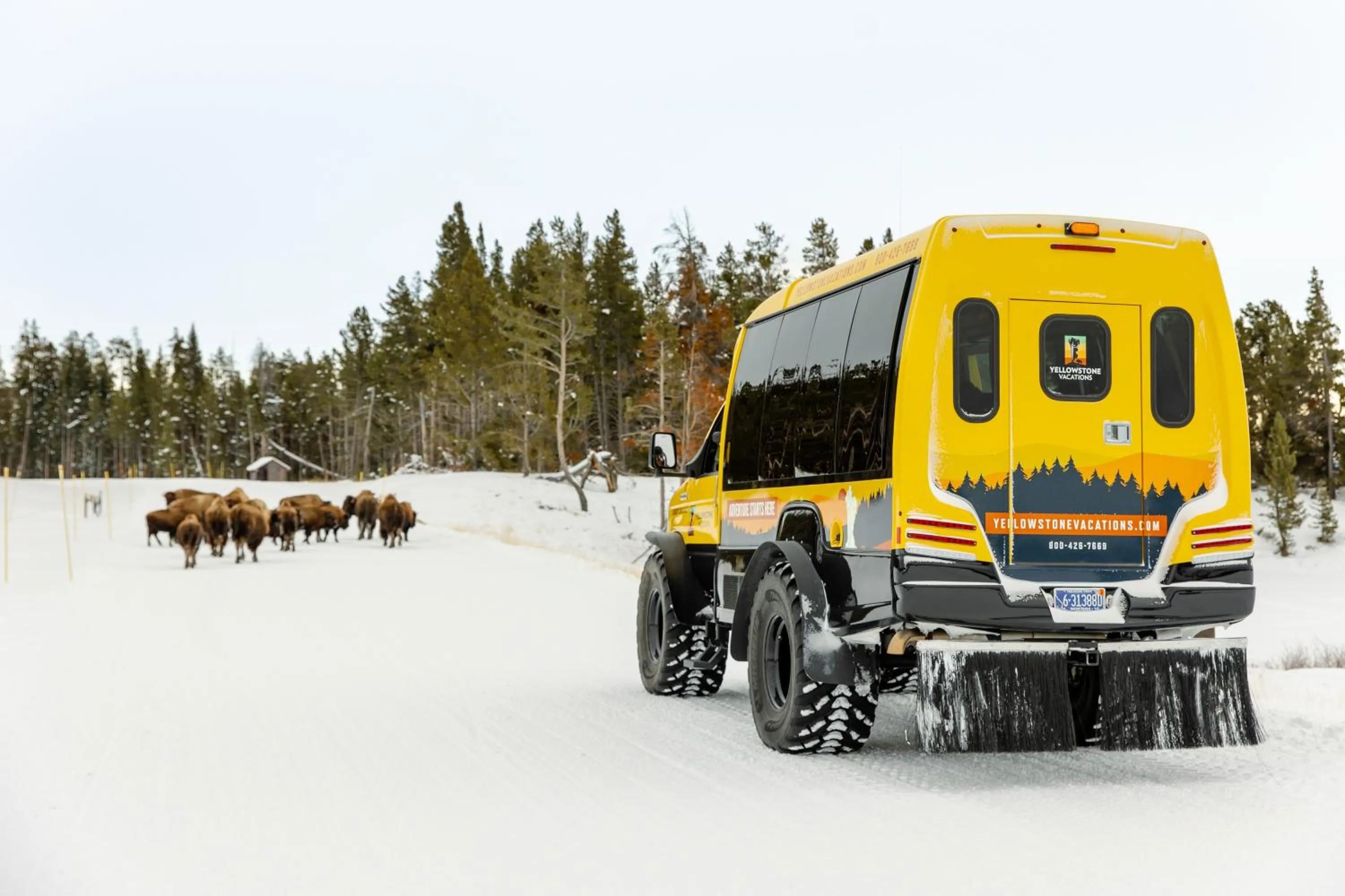 Explorer Cabins at Yellowstone