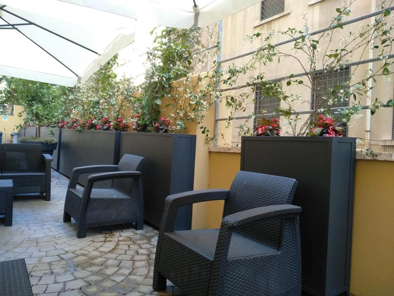 Garden in ASTORIA GOLDEN GATE