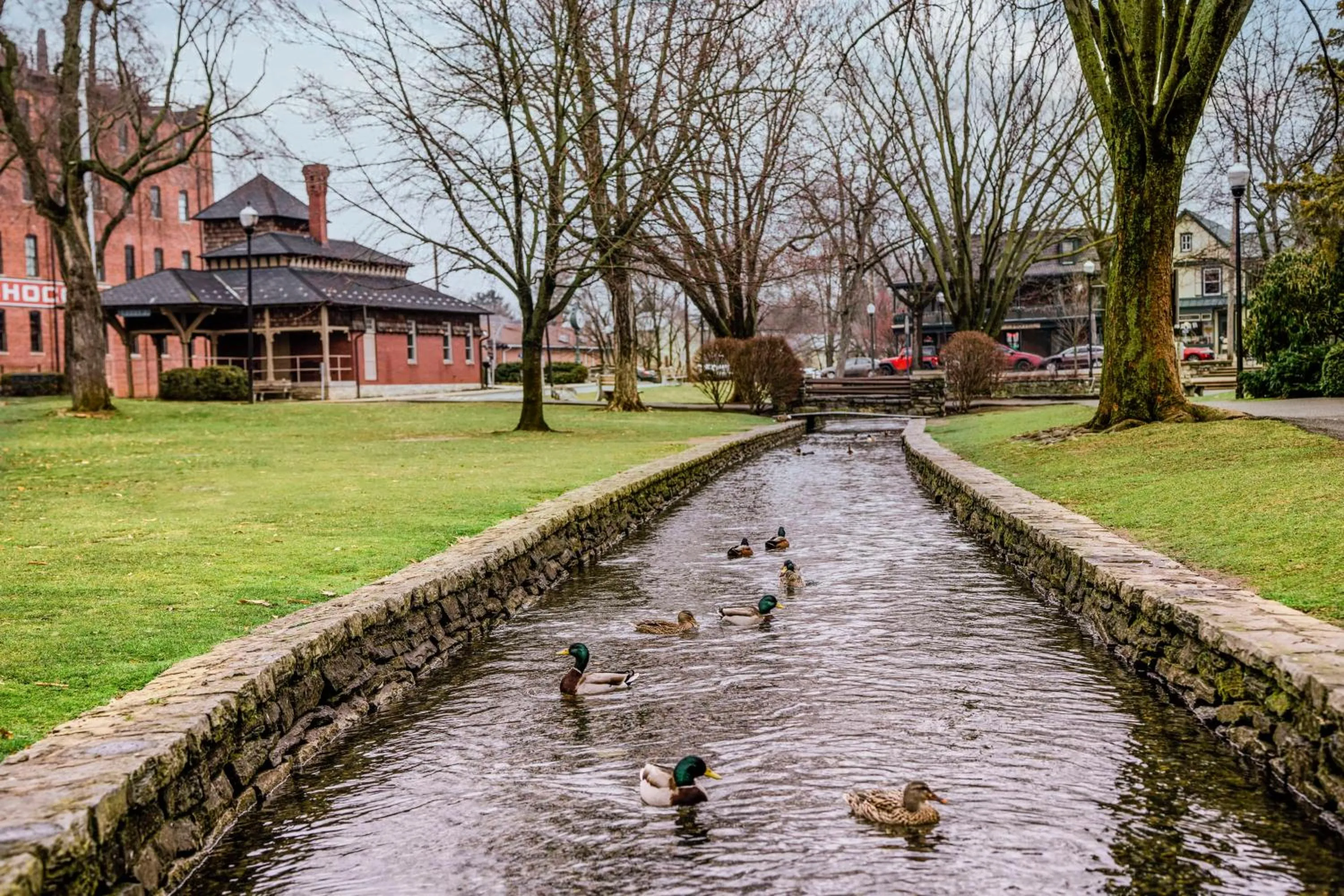 Garden in The Wilbur Lititz, Tapestry Collection By Hilton