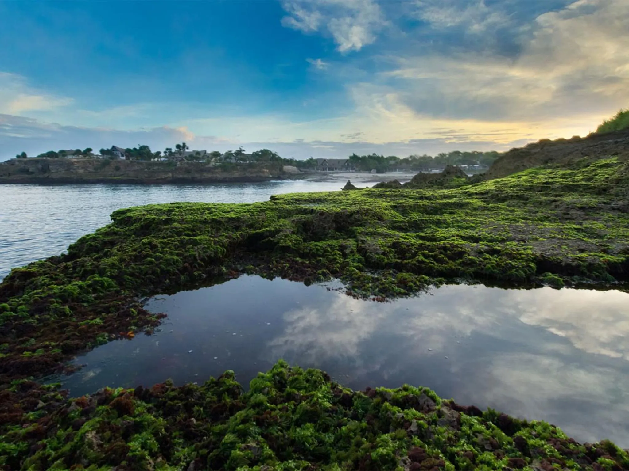 Natural landscape in Villa Voyage