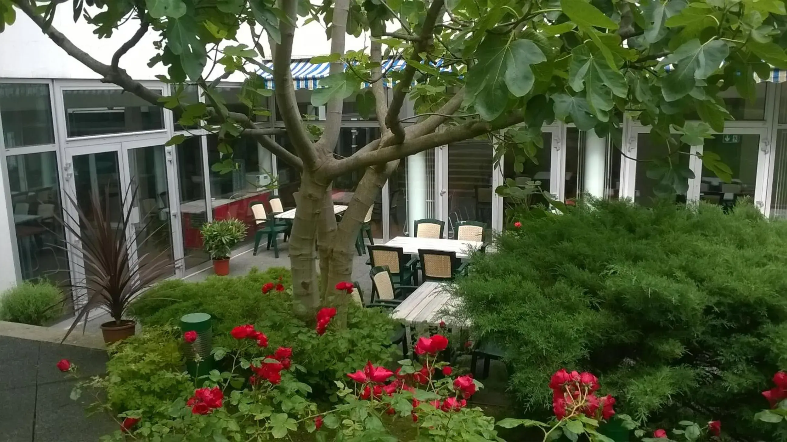 Balcony/Terrace, Garden in Hotel CIS Paris Kellermann