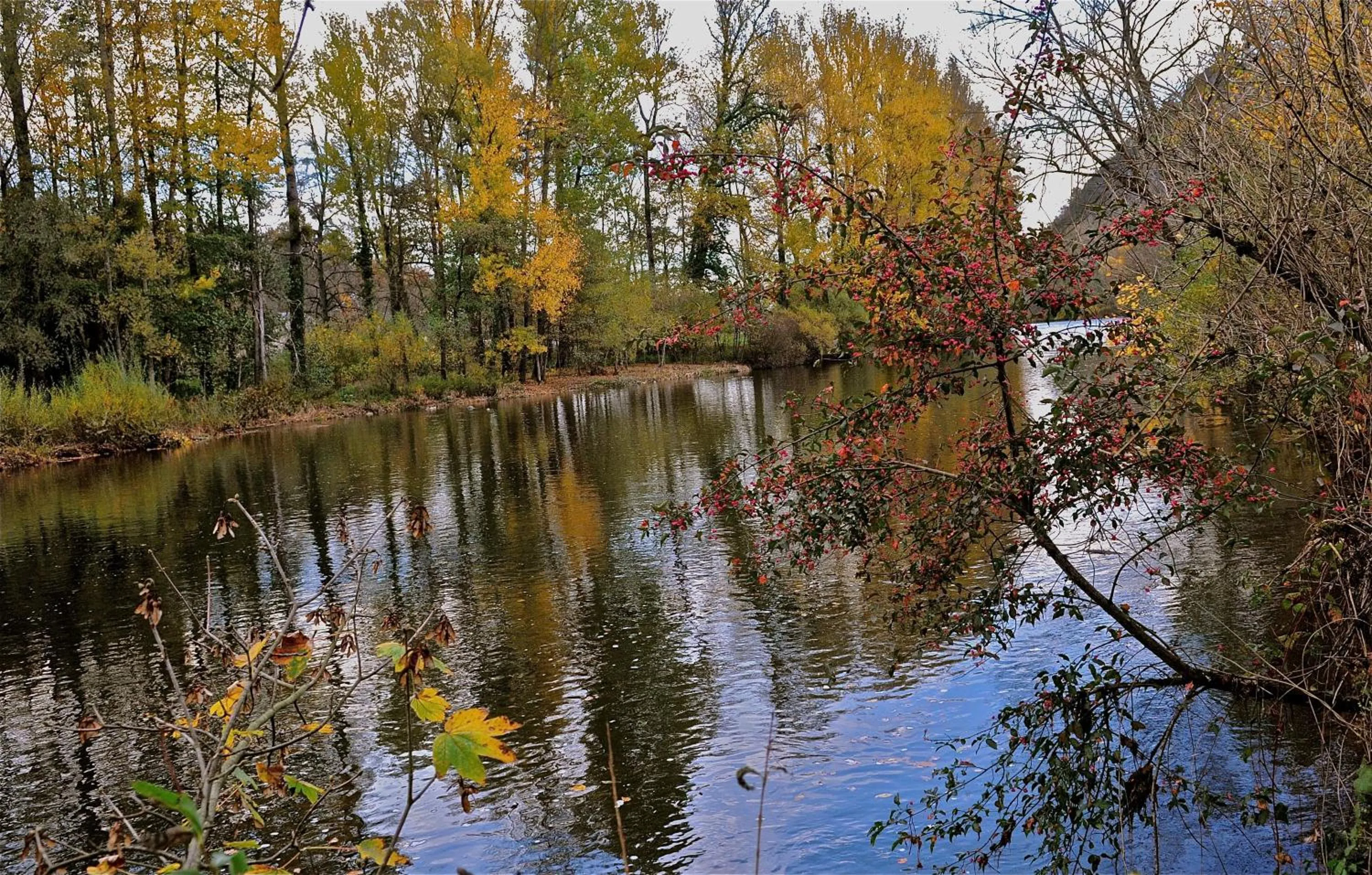 Autumn in AUX PORTES D'AUBRAC studio 2 personnes