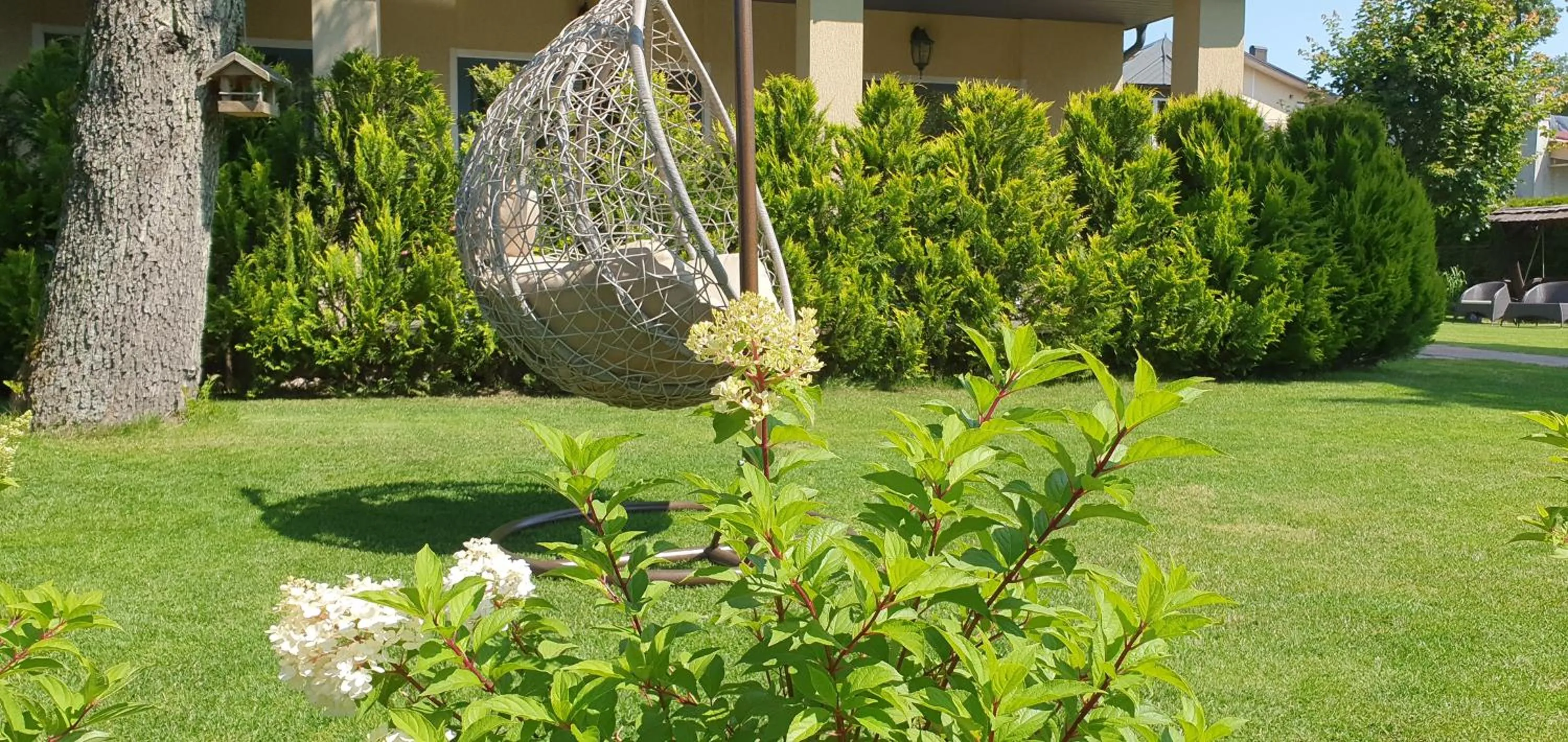 Rasos Vila