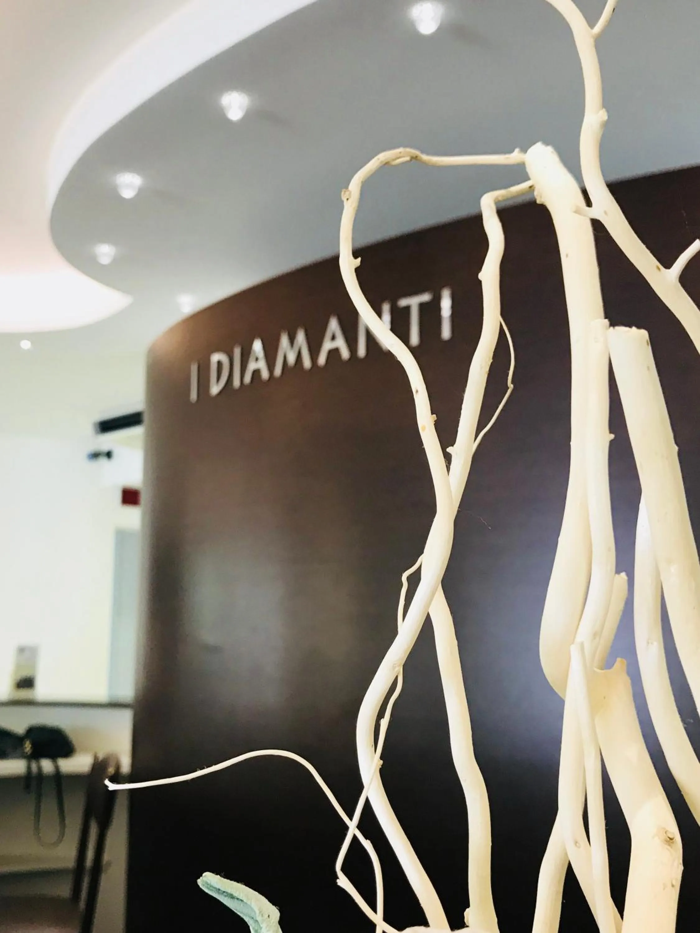 Lobby or reception in Residence I Diamanti - Siroli Collection