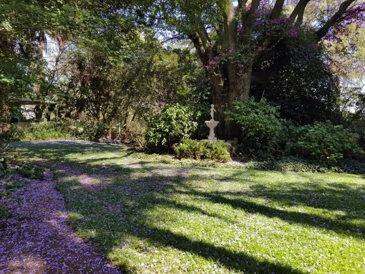 Garden in The Great Gatsby Houghton