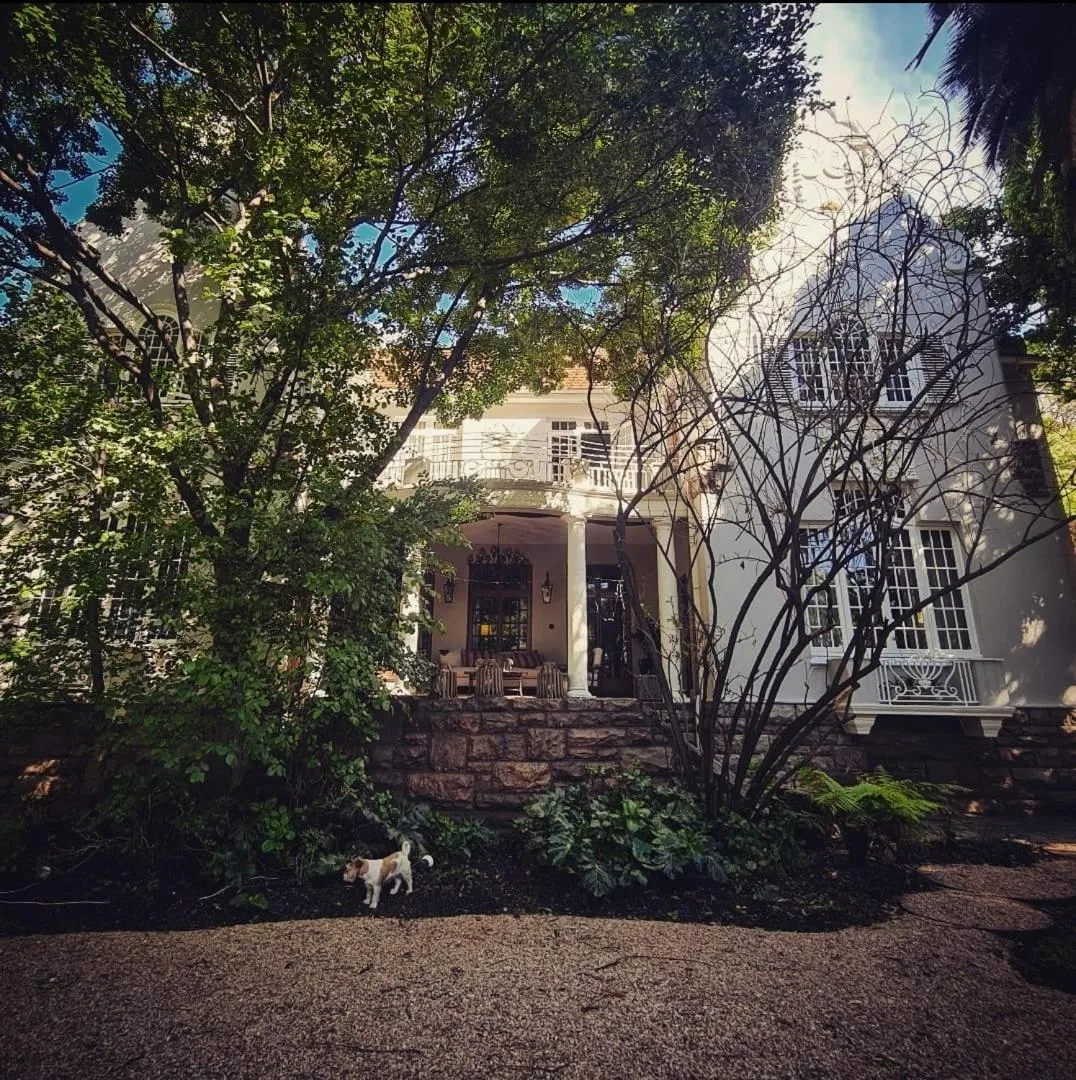 The Great Gatsby Houghton