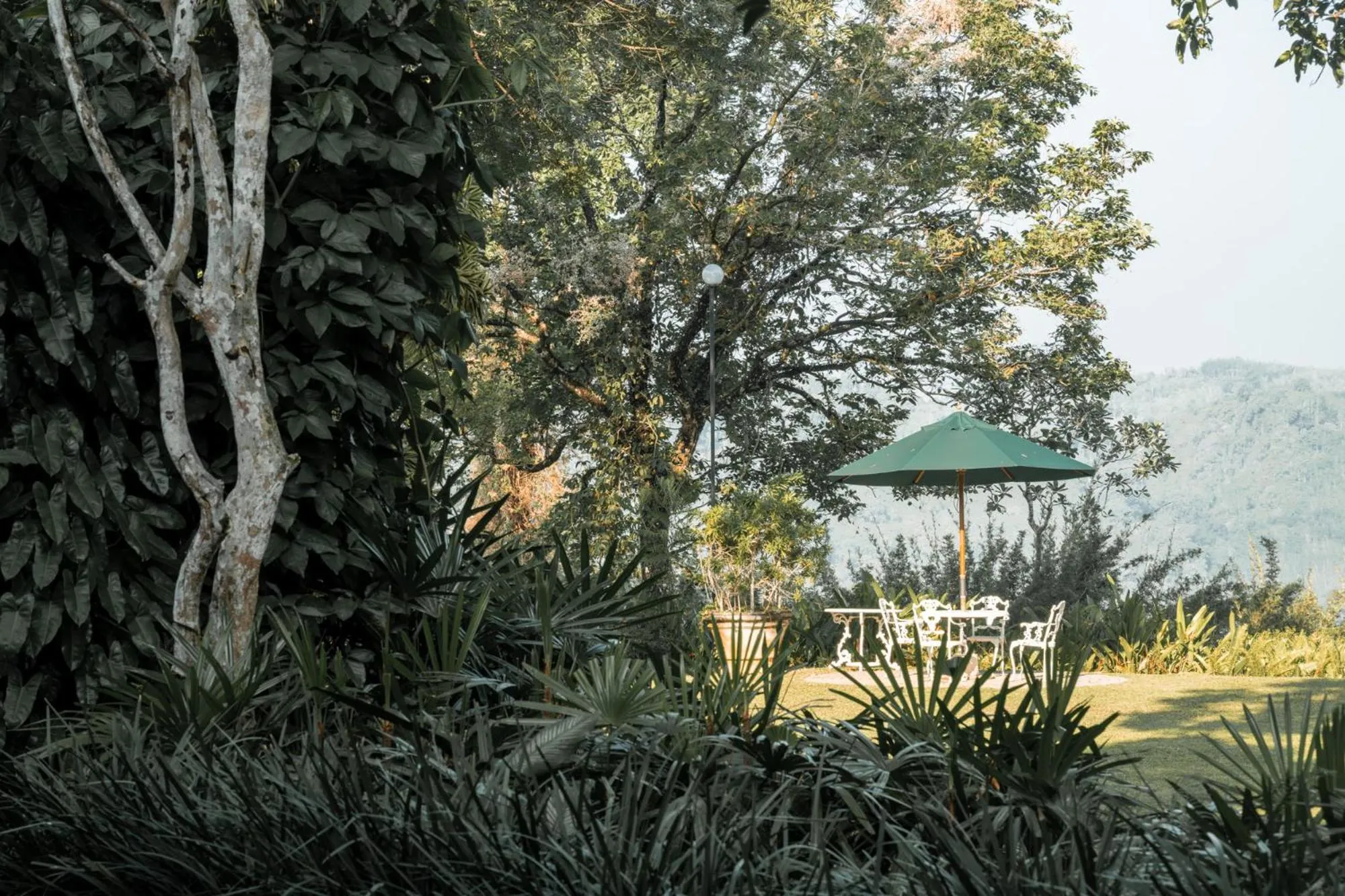 Natural landscape in Glenross Living - A Collection of 7 Private Pool Villas and 3 Colonial Suites