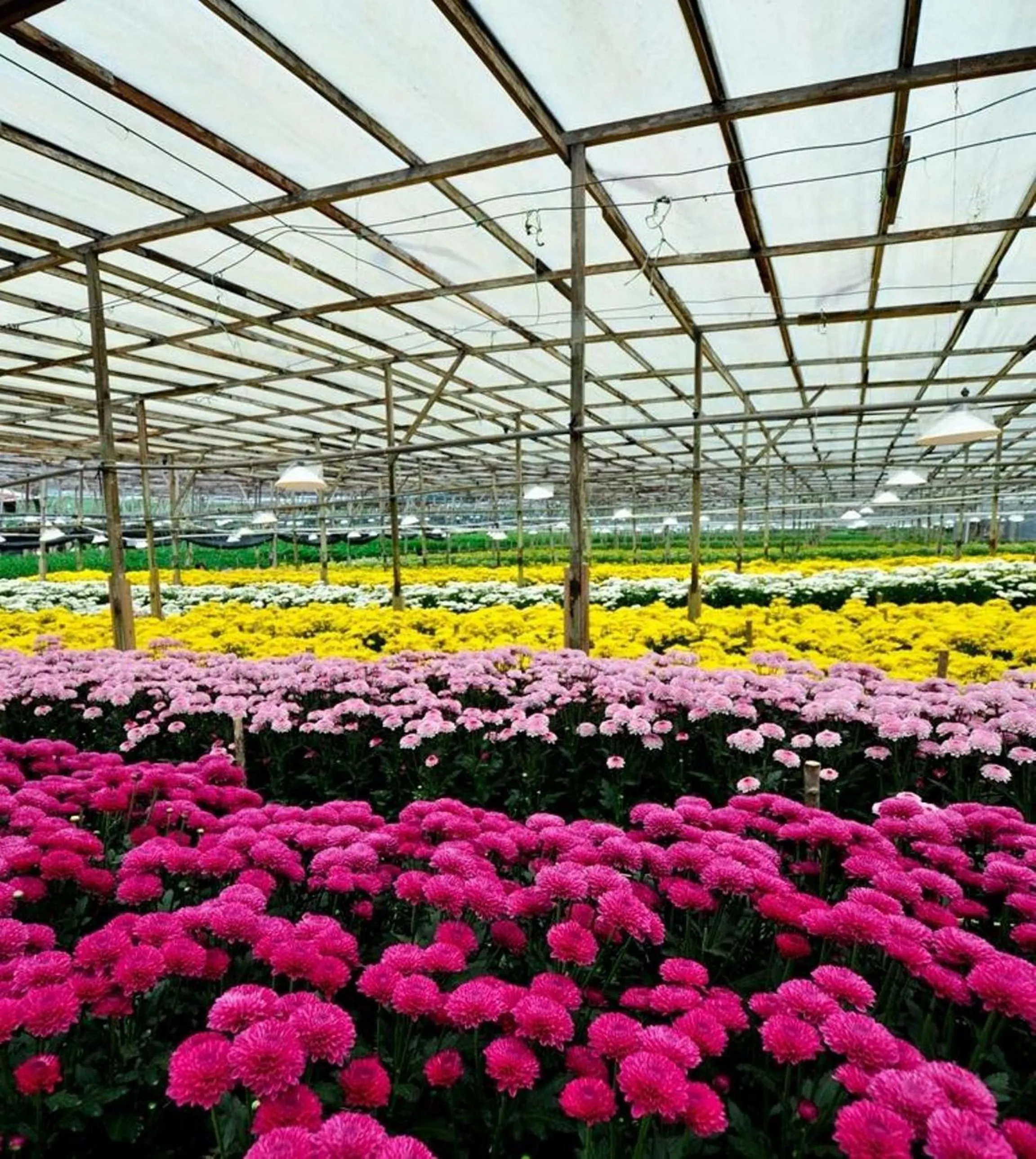 Activities in Strawberry Park Resort