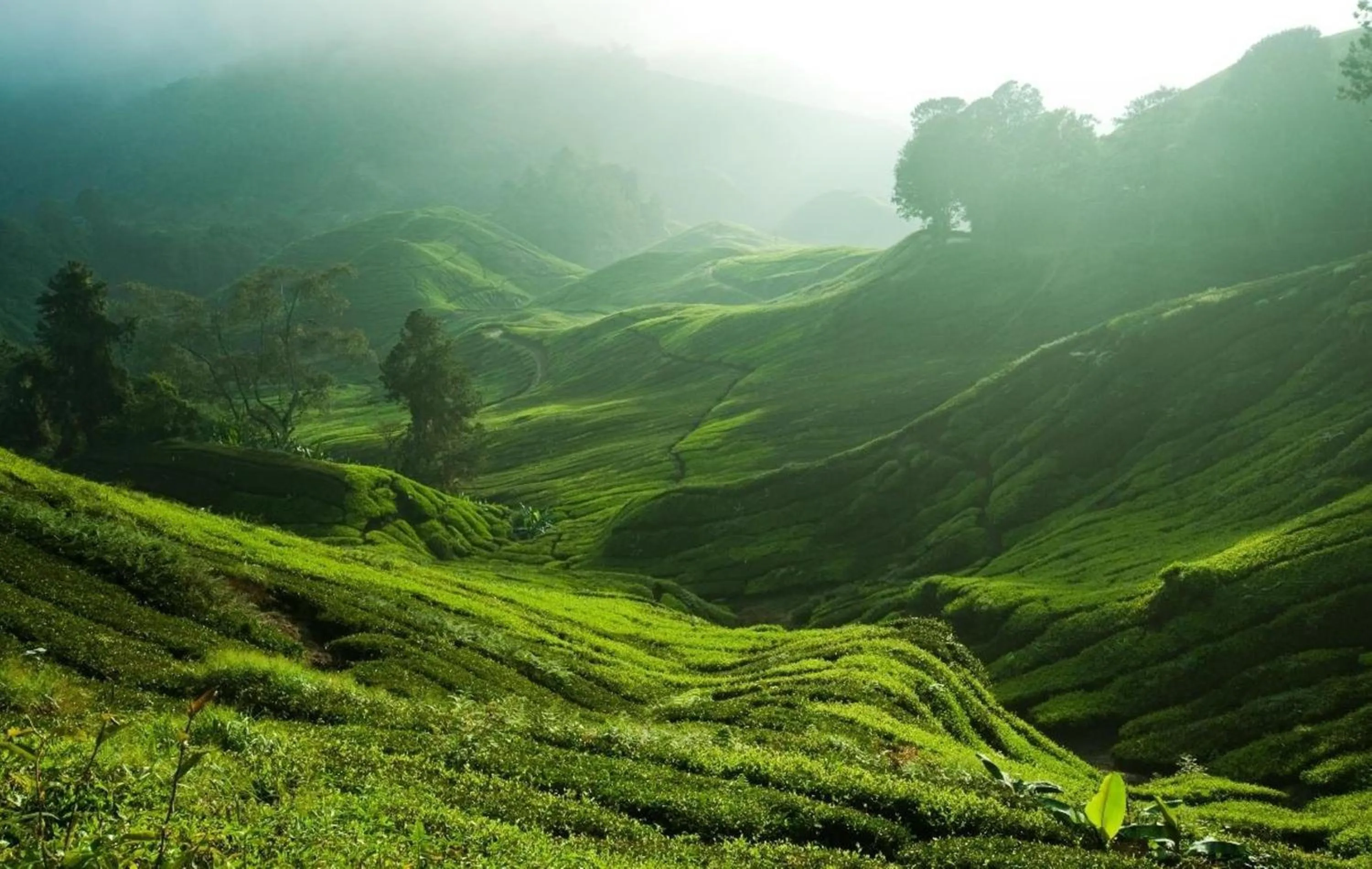 Activities in Strawberry Park Resort