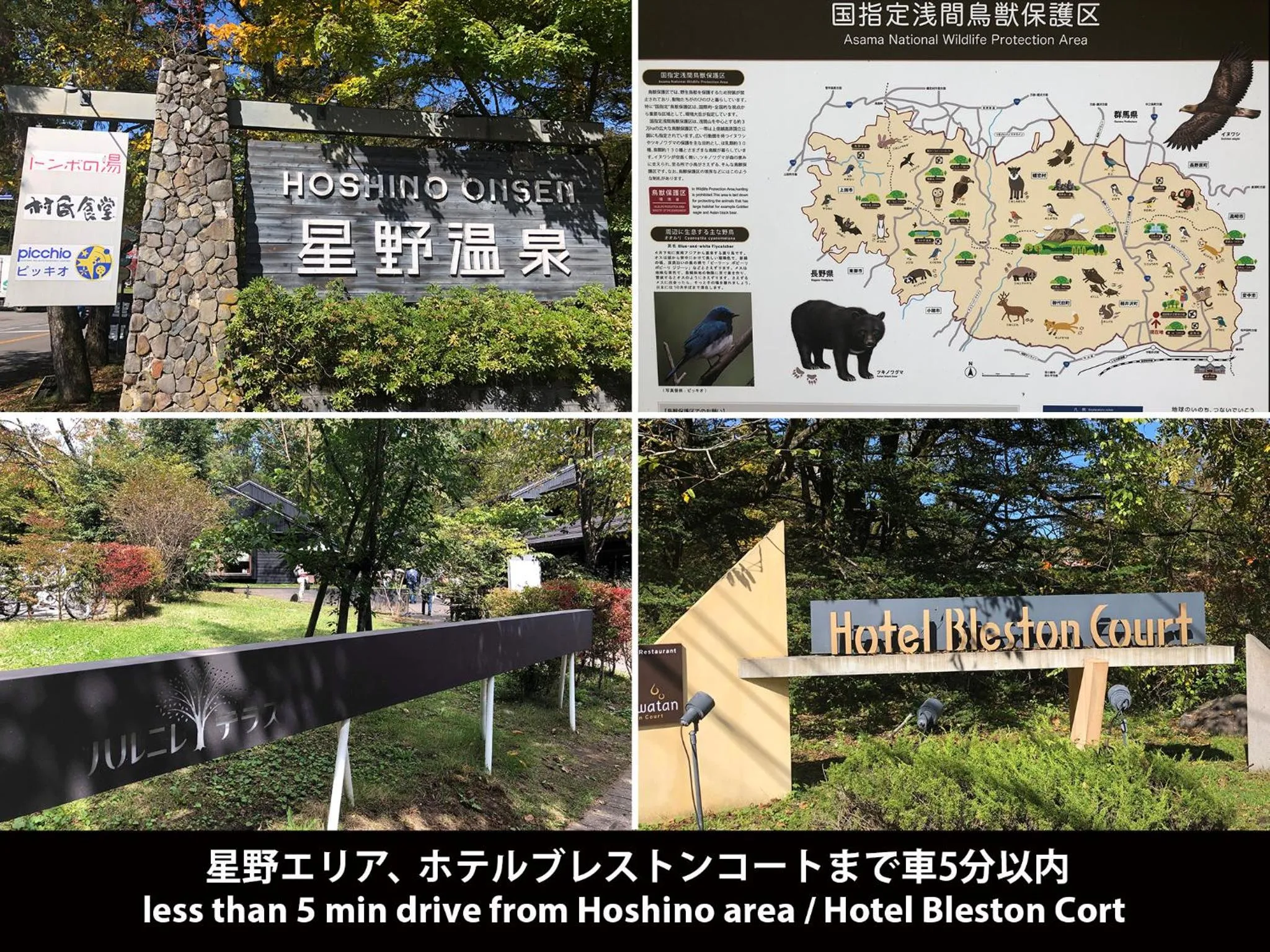 Restaurant/places to eat in Hotel Wellies