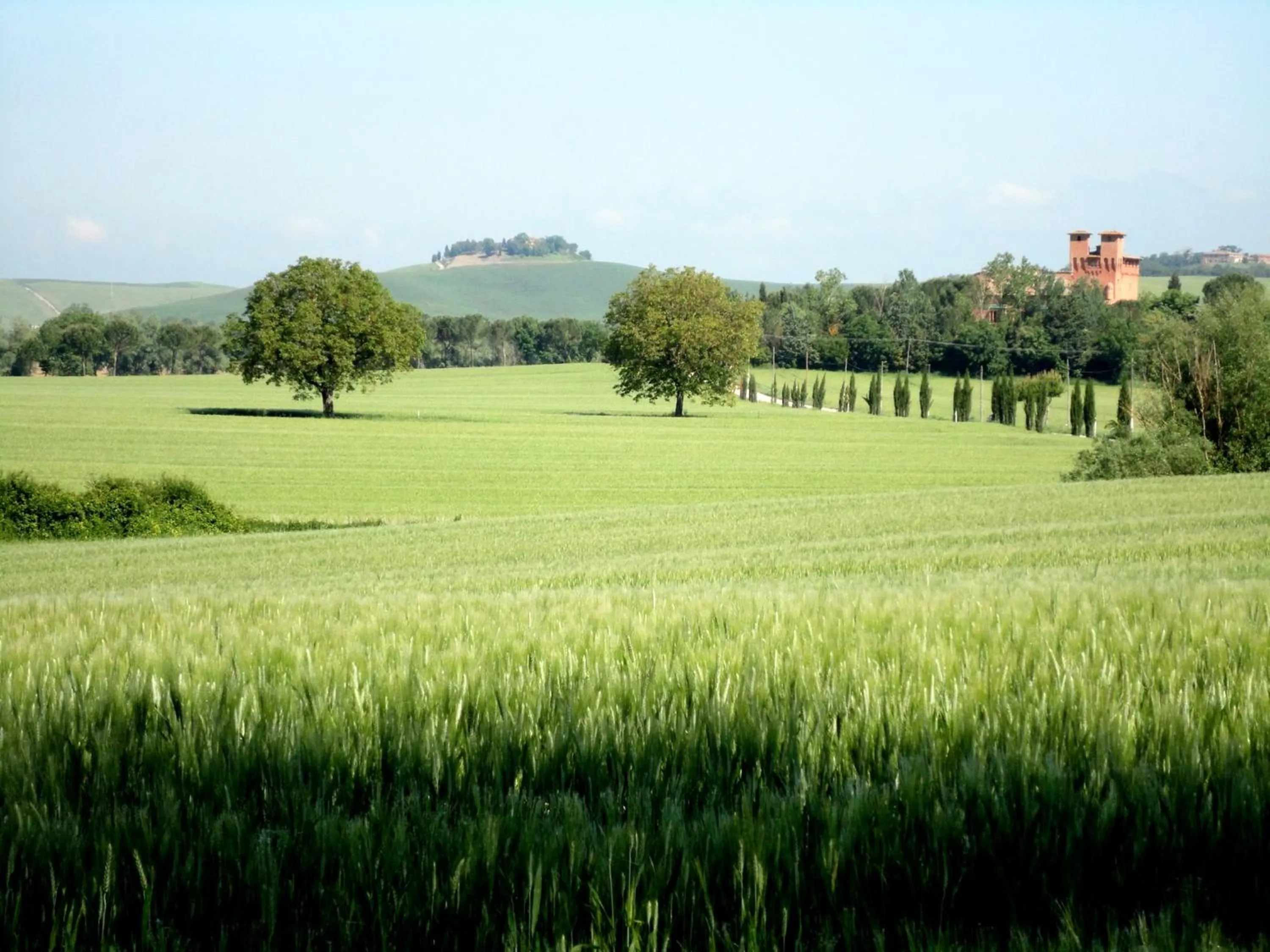Facade/entrance in Castello di San Fabiano