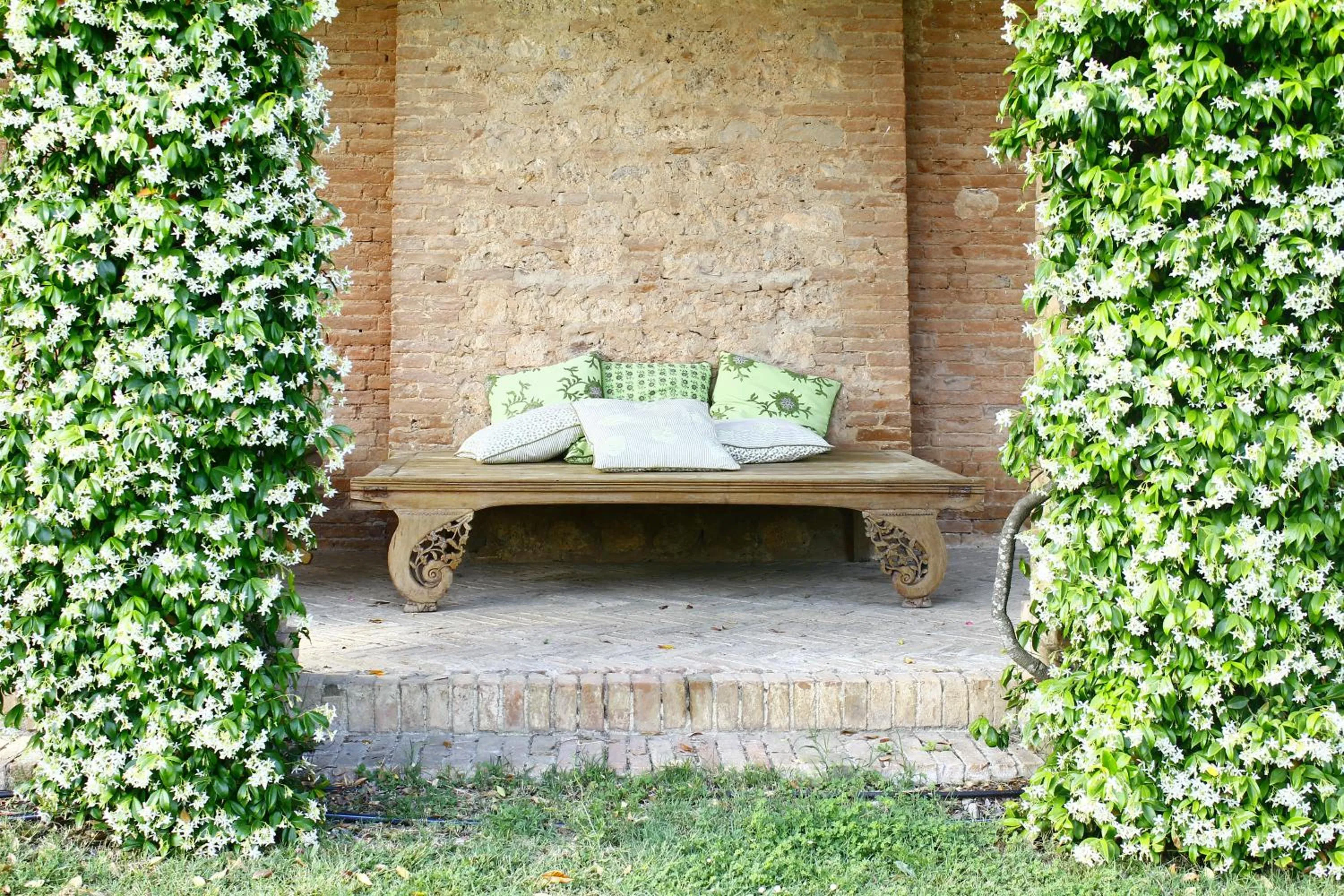 Patio in Castello di San Fabiano
