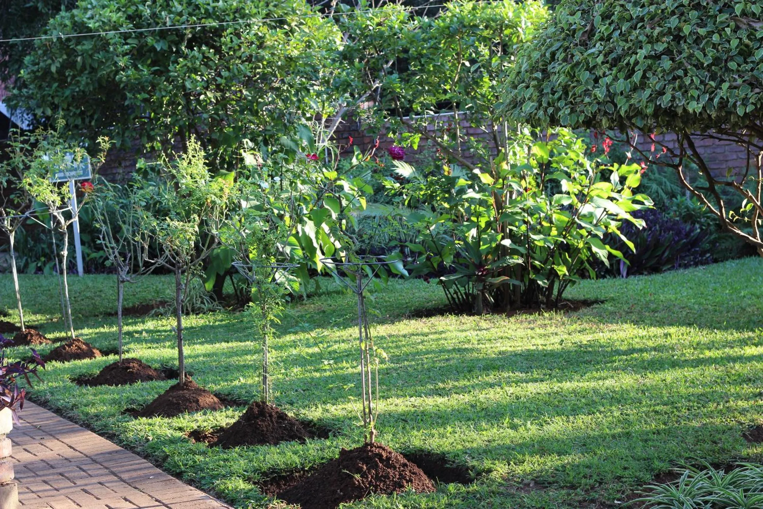 Garden view in Ecolux Boutique Hotel