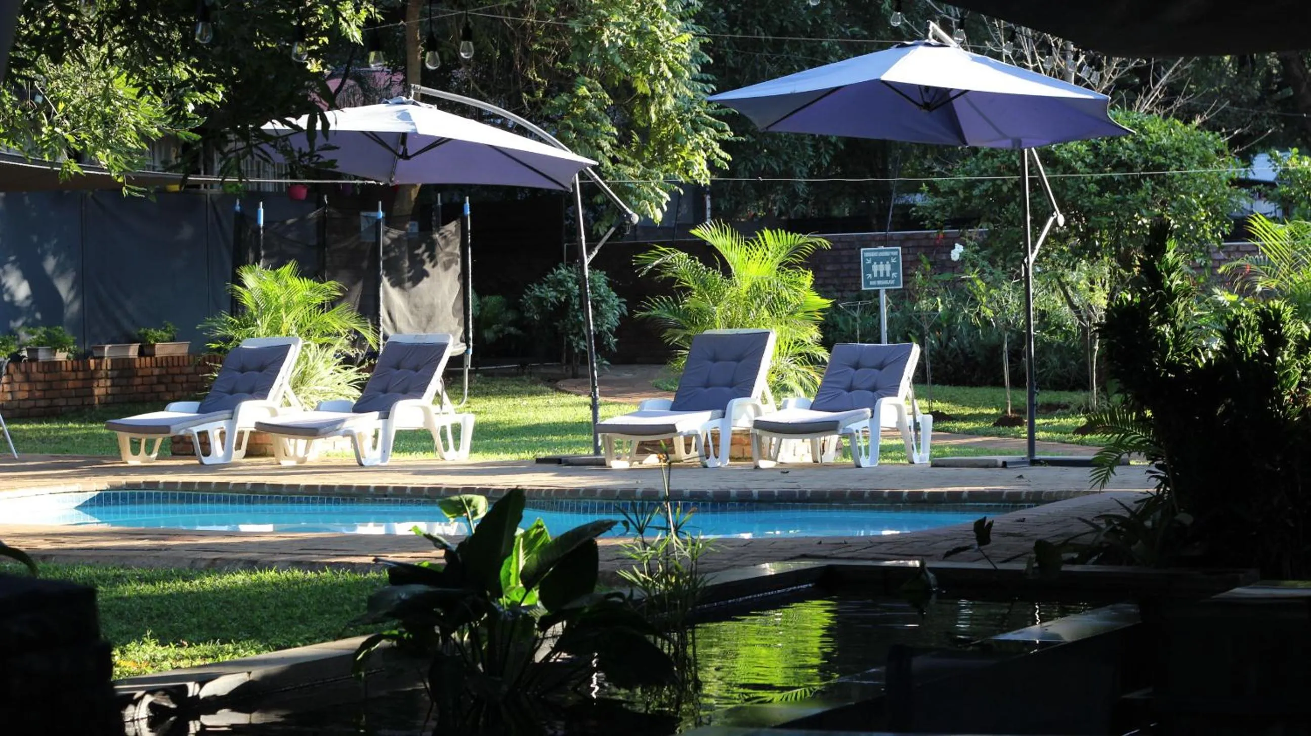 Swimming pool in Ecolux Boutique Hotel