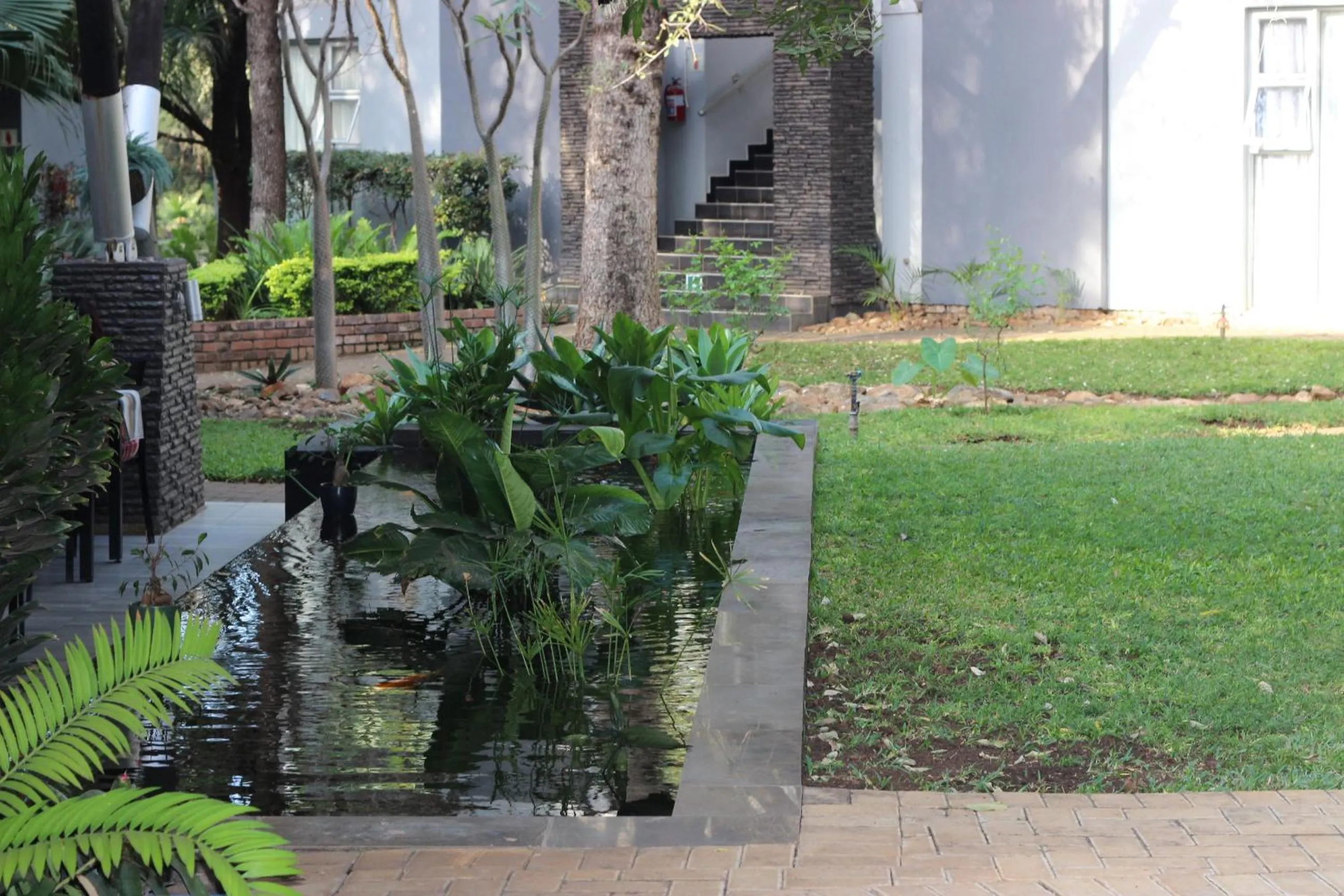 Garden in Ecolux Boutique Hotel