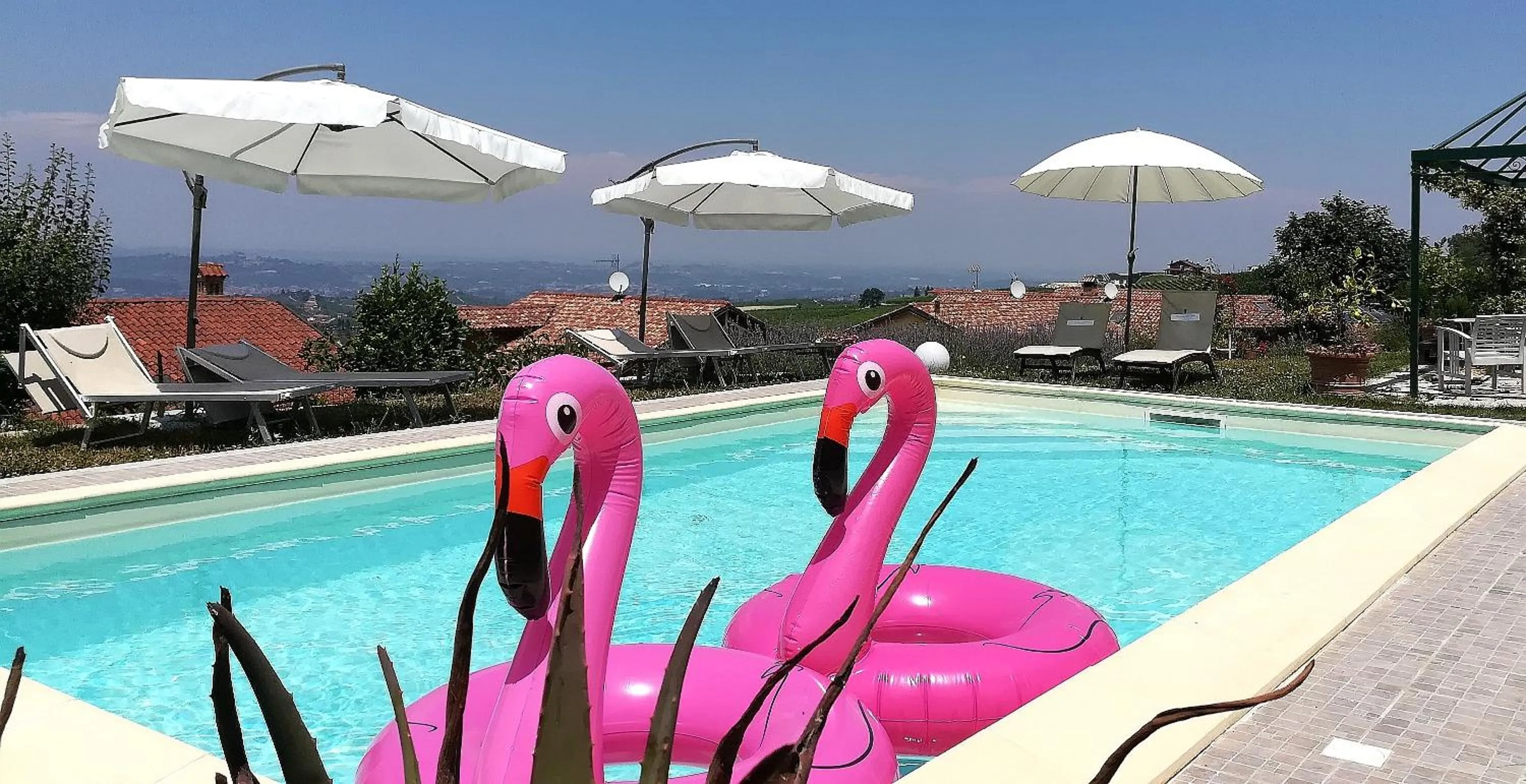 Domus Langhe B&B