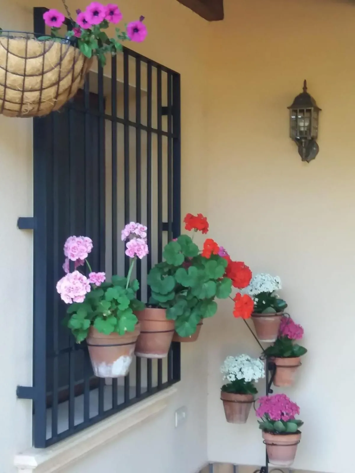 Property building in Casas Rurales Cortijo Bellavista