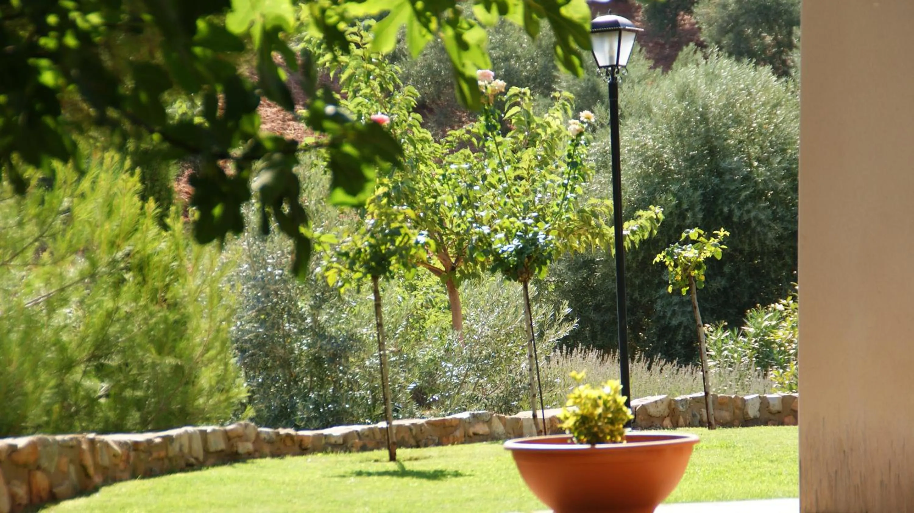 Garden in Casas Rurales Cortijo Bellavista