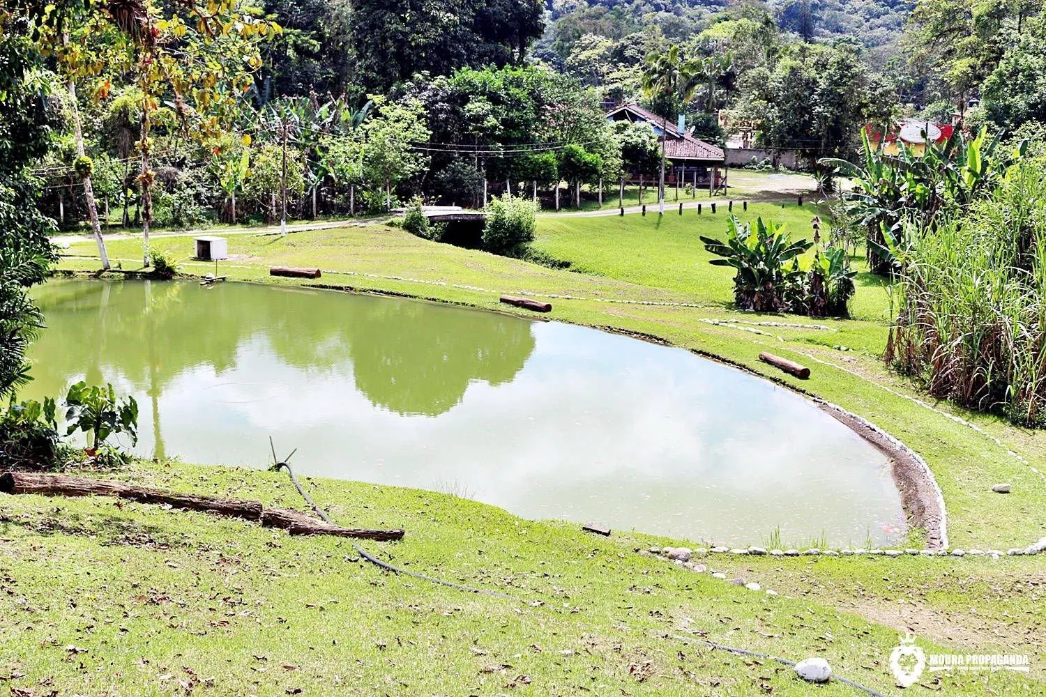 Lake view in Eco Chalés Luar das Marés