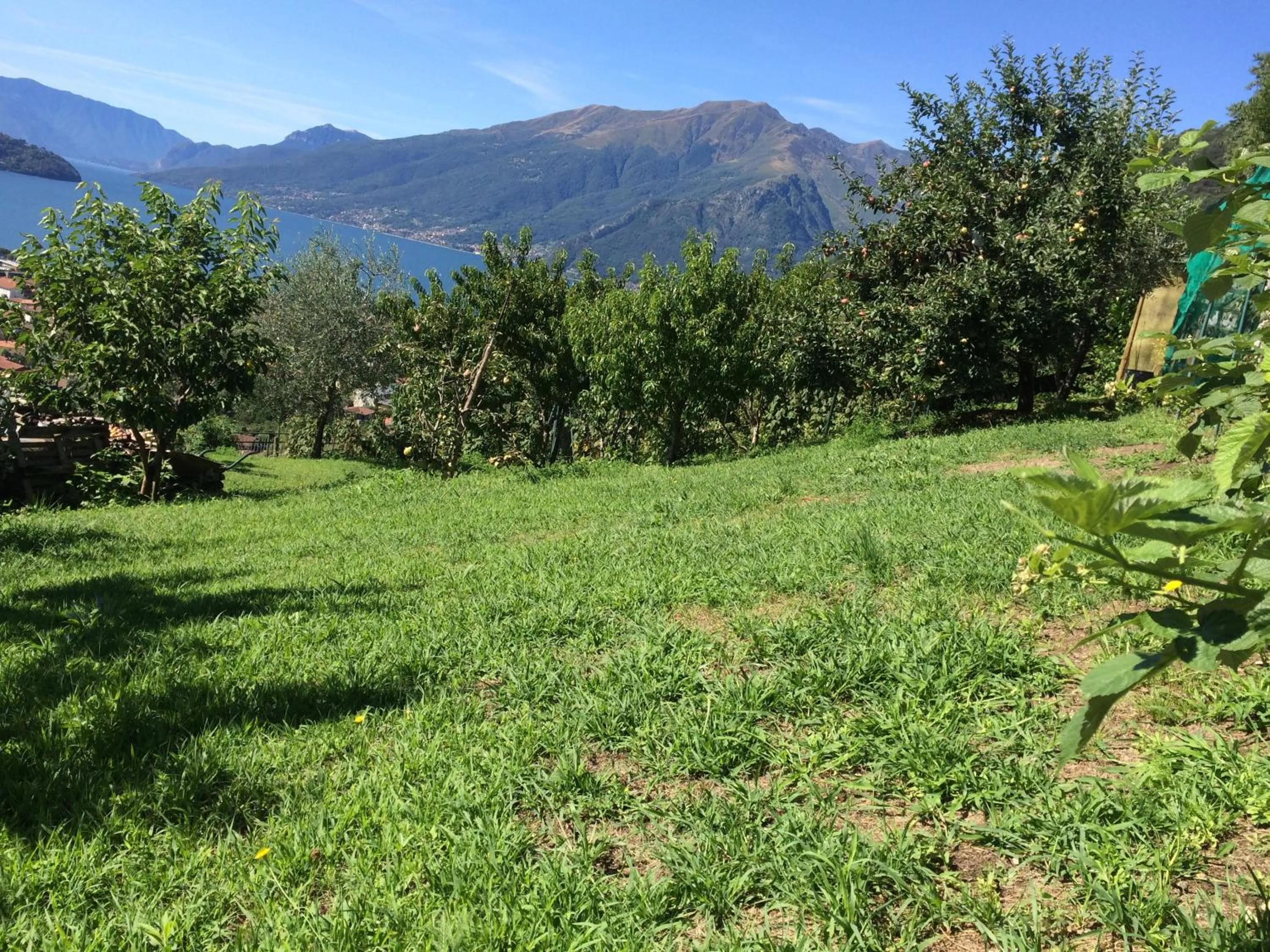 Garden in Residence Le Azalee & SPA