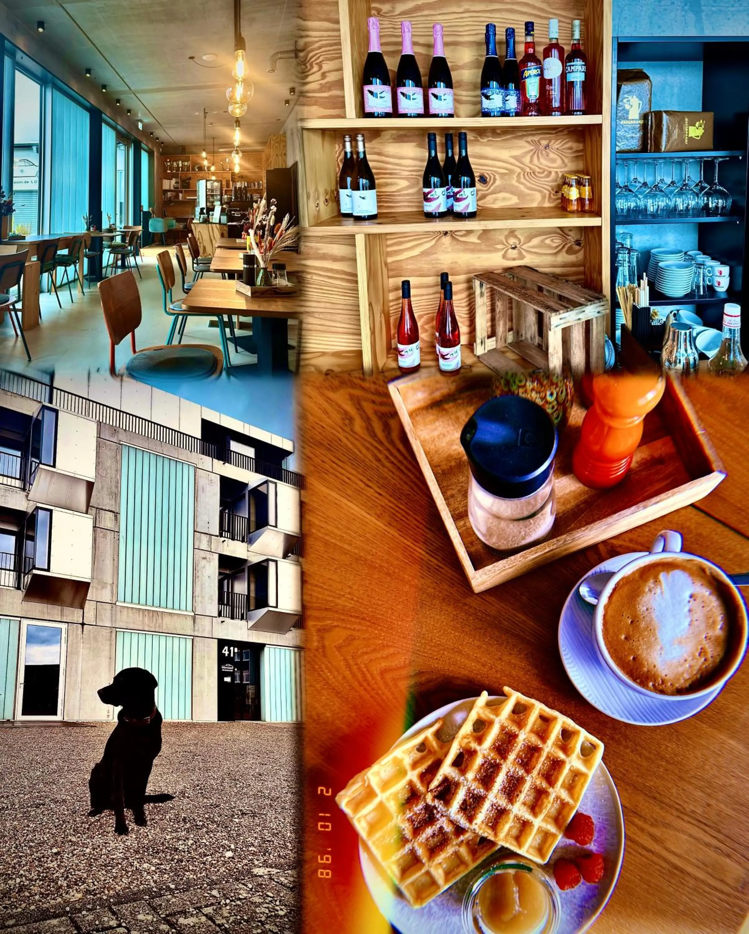 Food and drinks in elferrooms Hotel