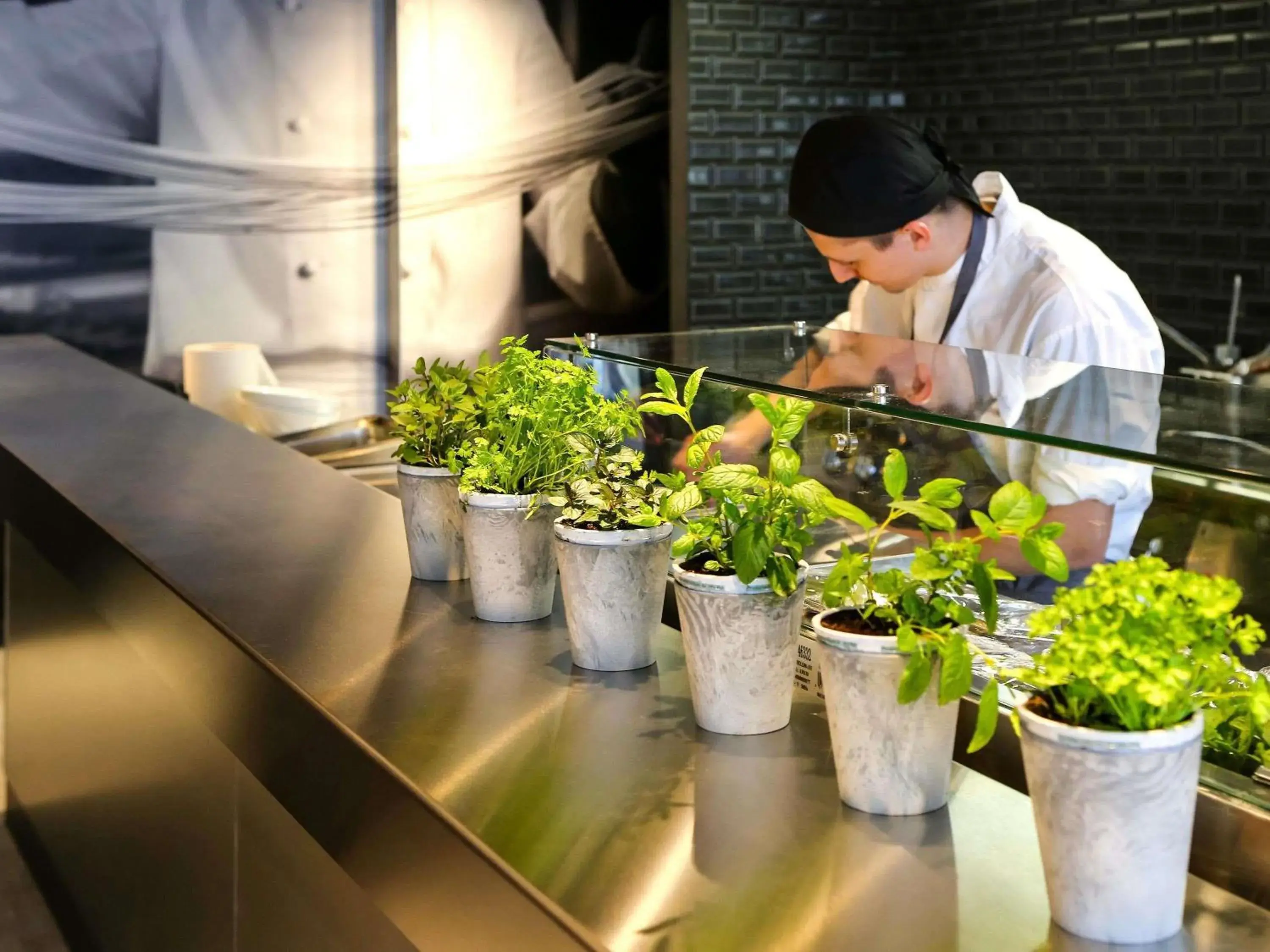 Restaurant/places to eat in ibis Aix en Provence Restaurant/places to eat in ibis Aix en Provence