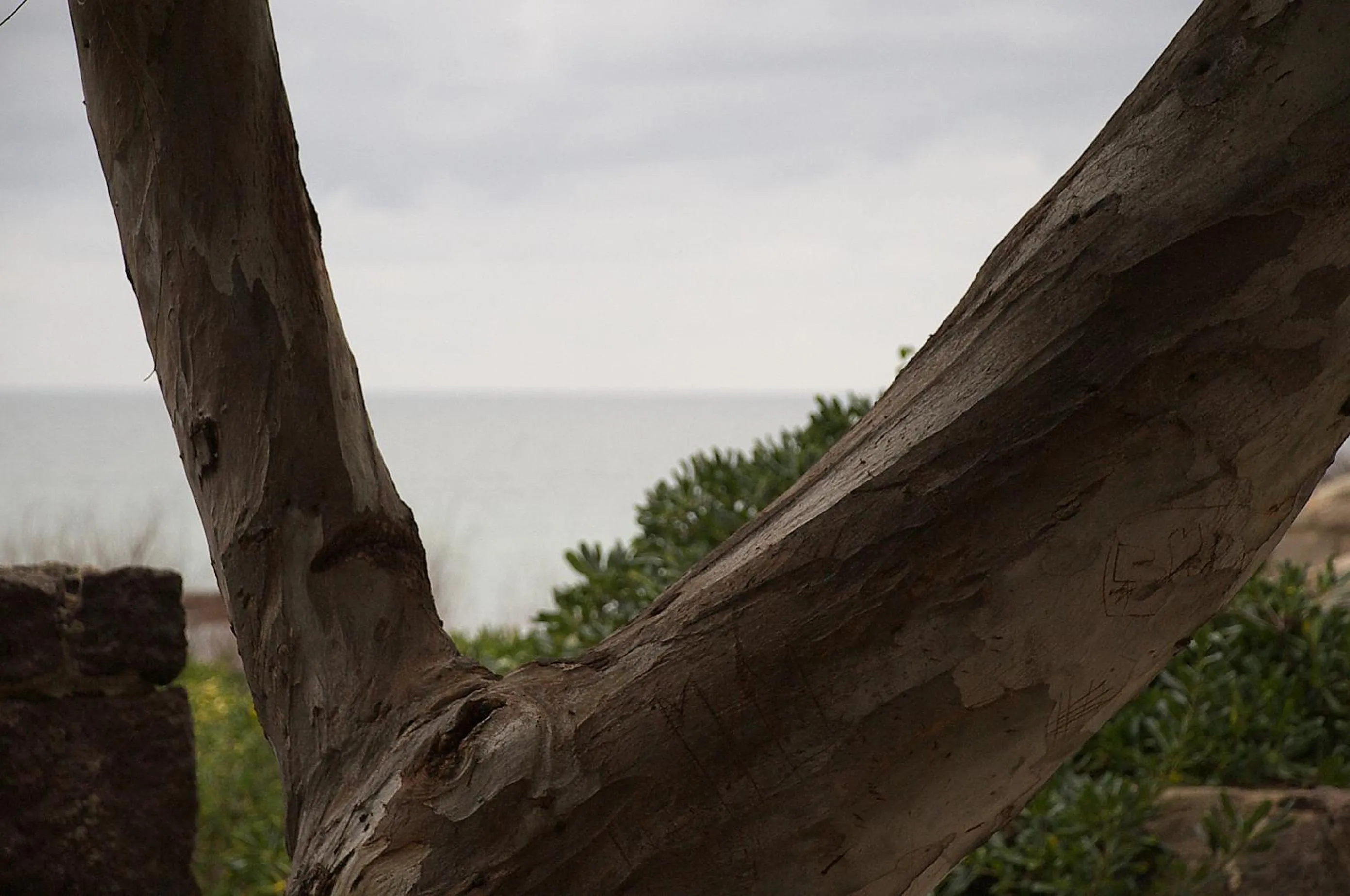 Other in Hotel Castelsardo Domus Beach