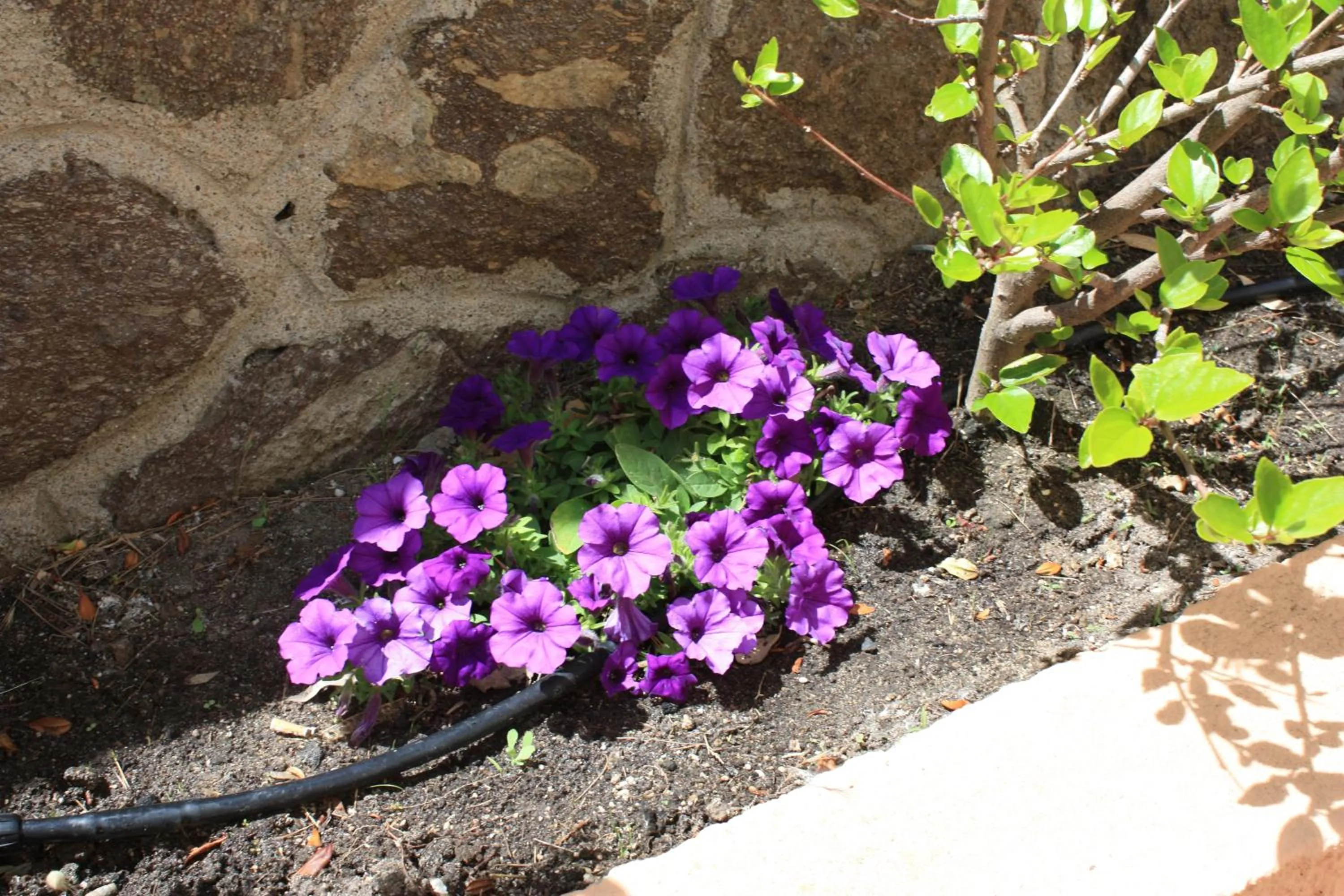 Other in Hotel Castelsardo Domus Beach
