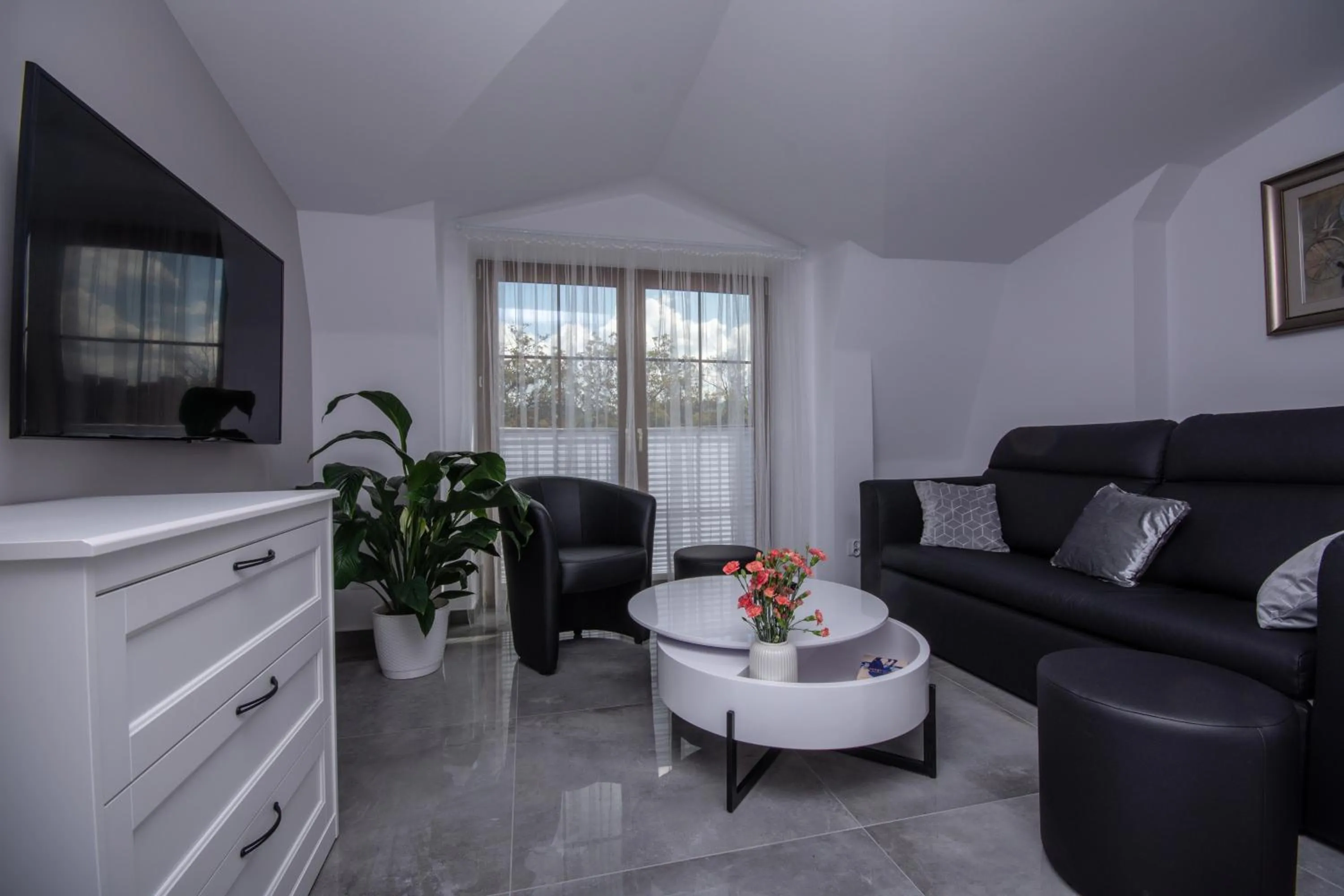 Three-Bedroom Apartment - single occupancy in Apartamenty AP 17