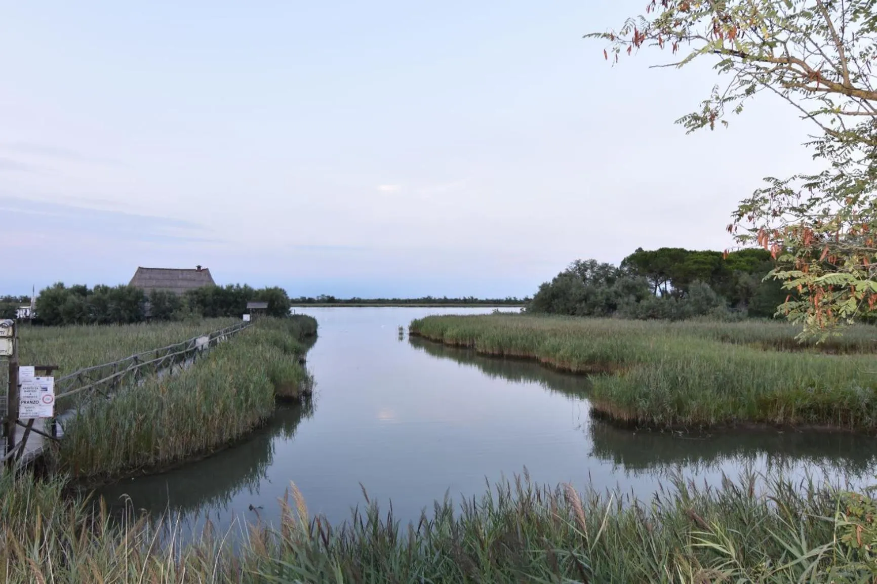 Natural landscape in Hotel Atenea Golden Star