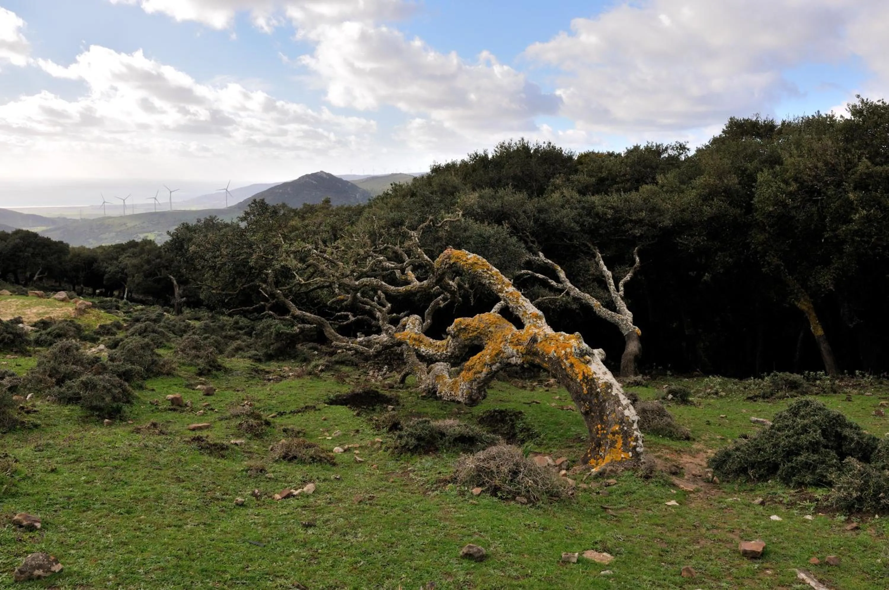 Activities in Hostal Tarifa -Recepcion abierta las 24h-