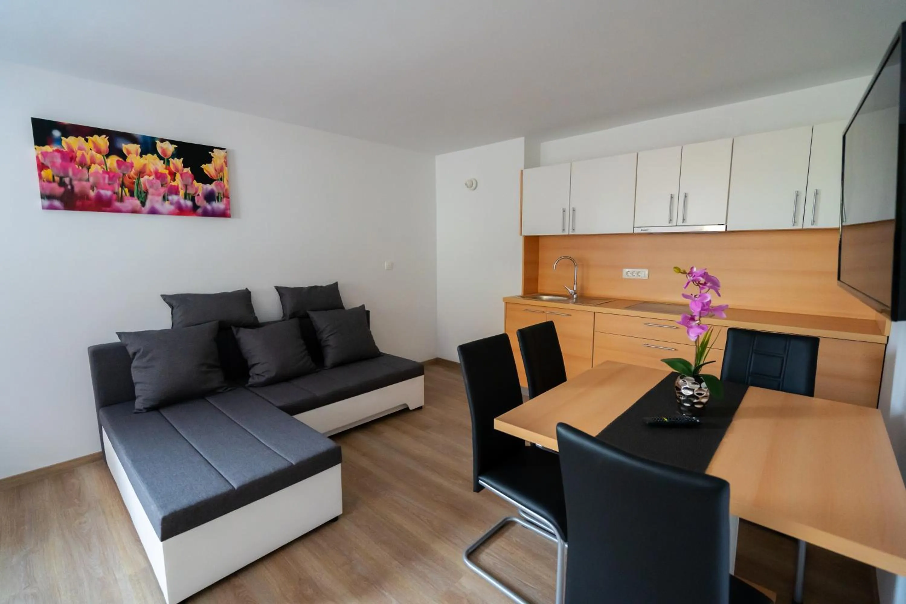 TV and multimedia in PJagodic Apartments & Wellness