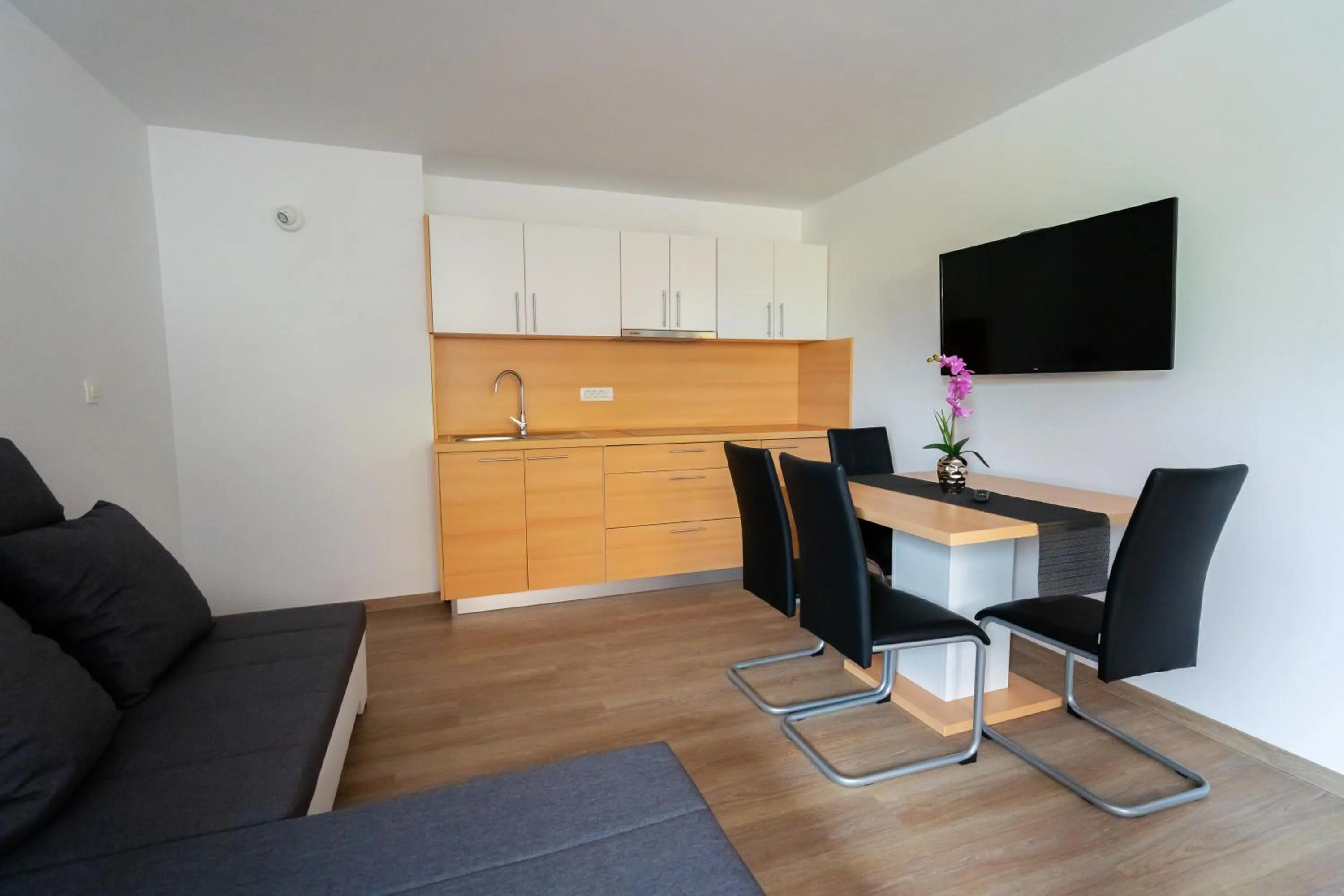 TV and multimedia in PJagodic Apartments & Wellness