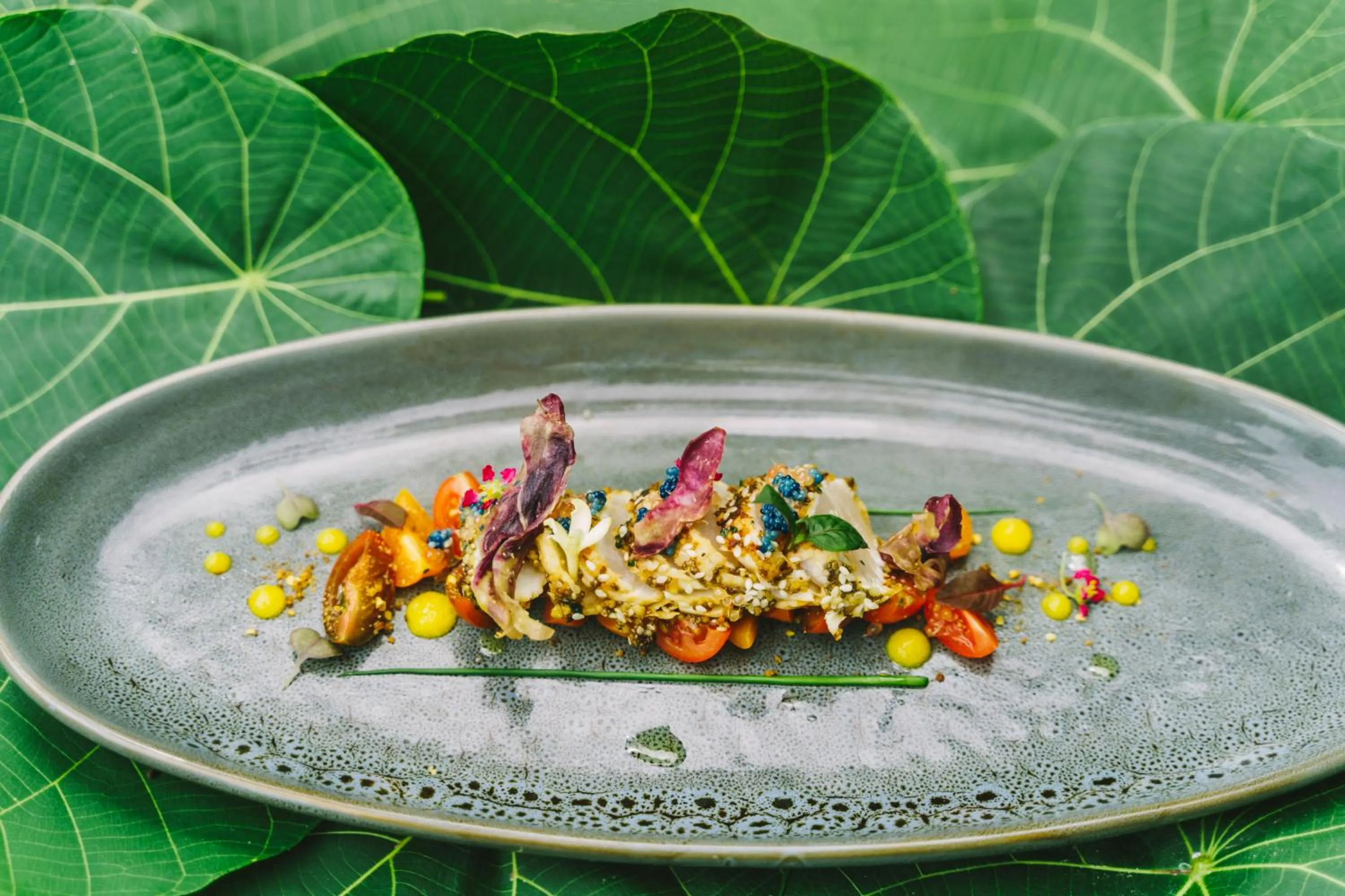 Food and drinks in Elysian Luxury Eco Island Retreat