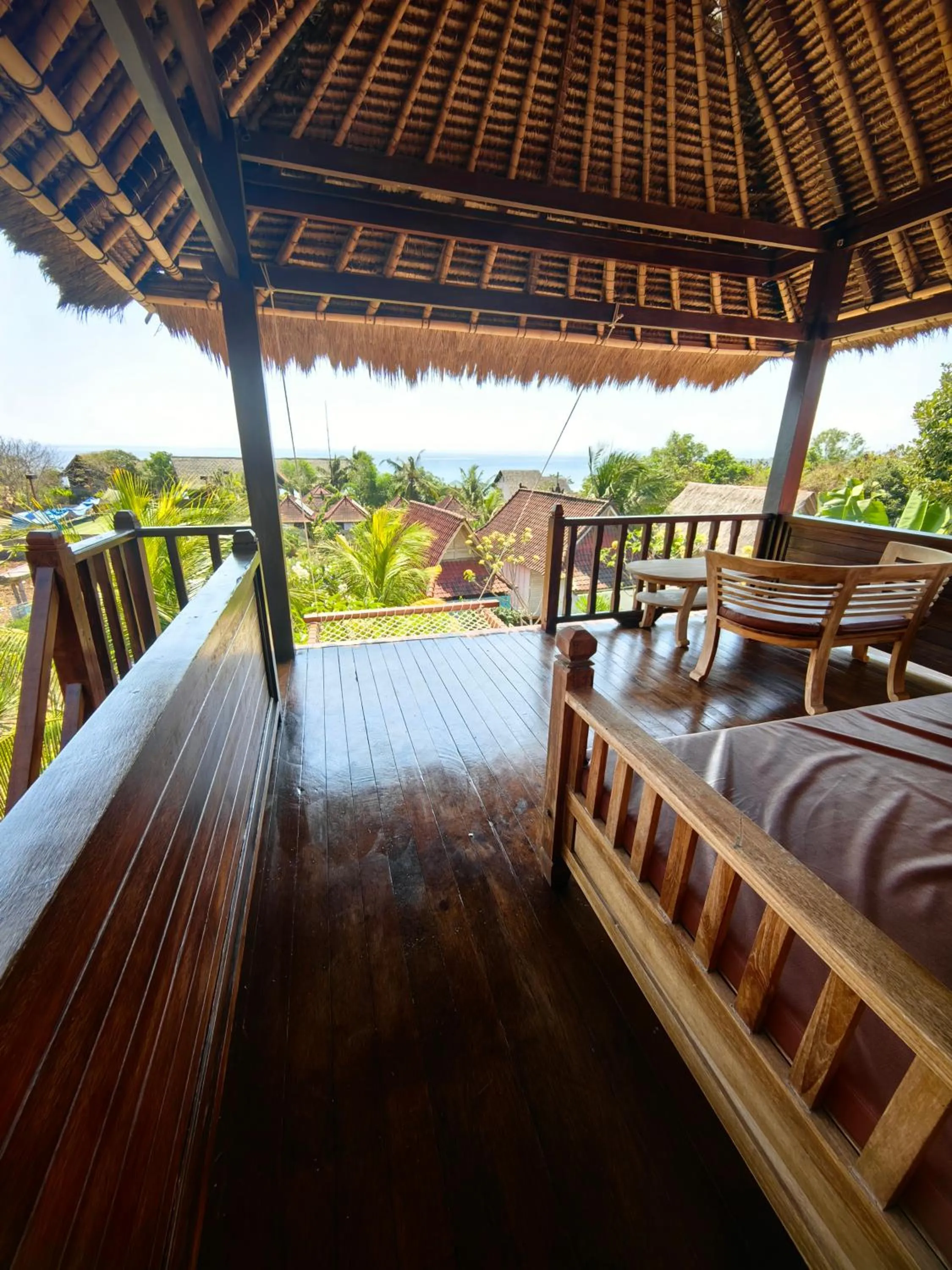 Day in The Dafish Ceningan