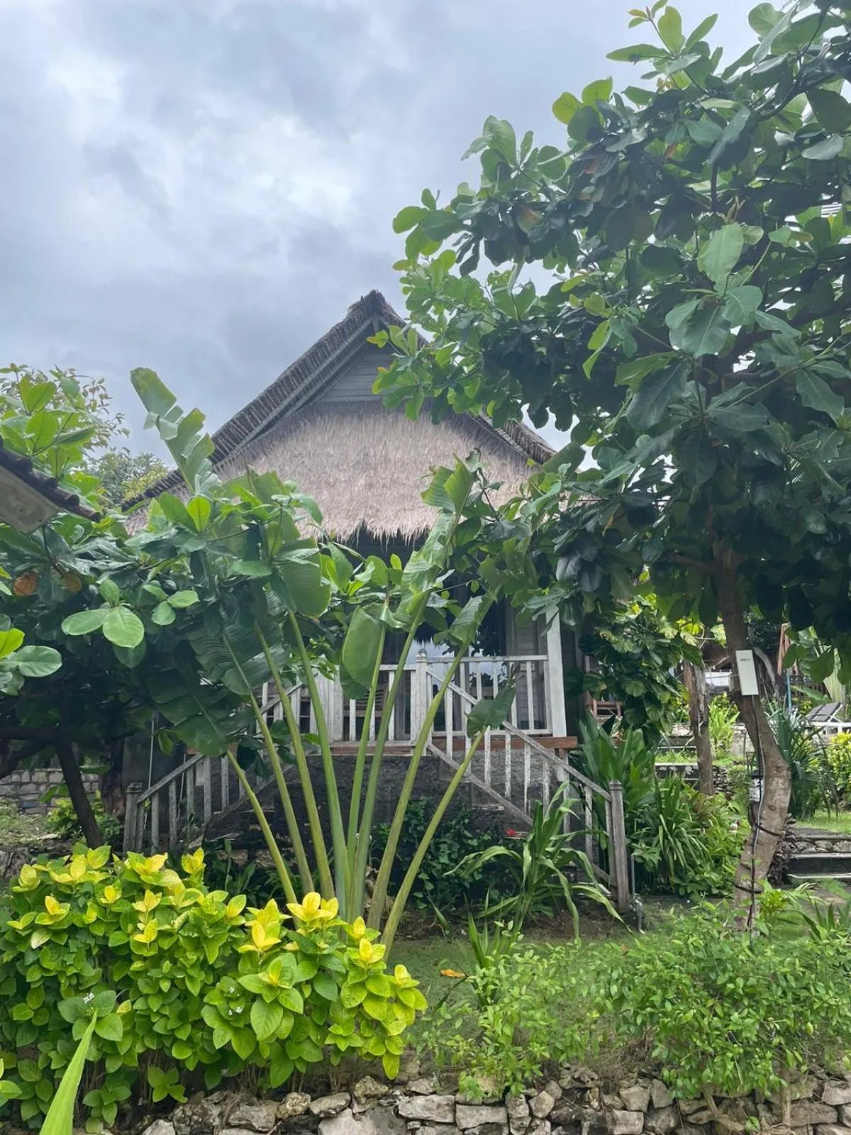 Garden in The Dafish Ceningan