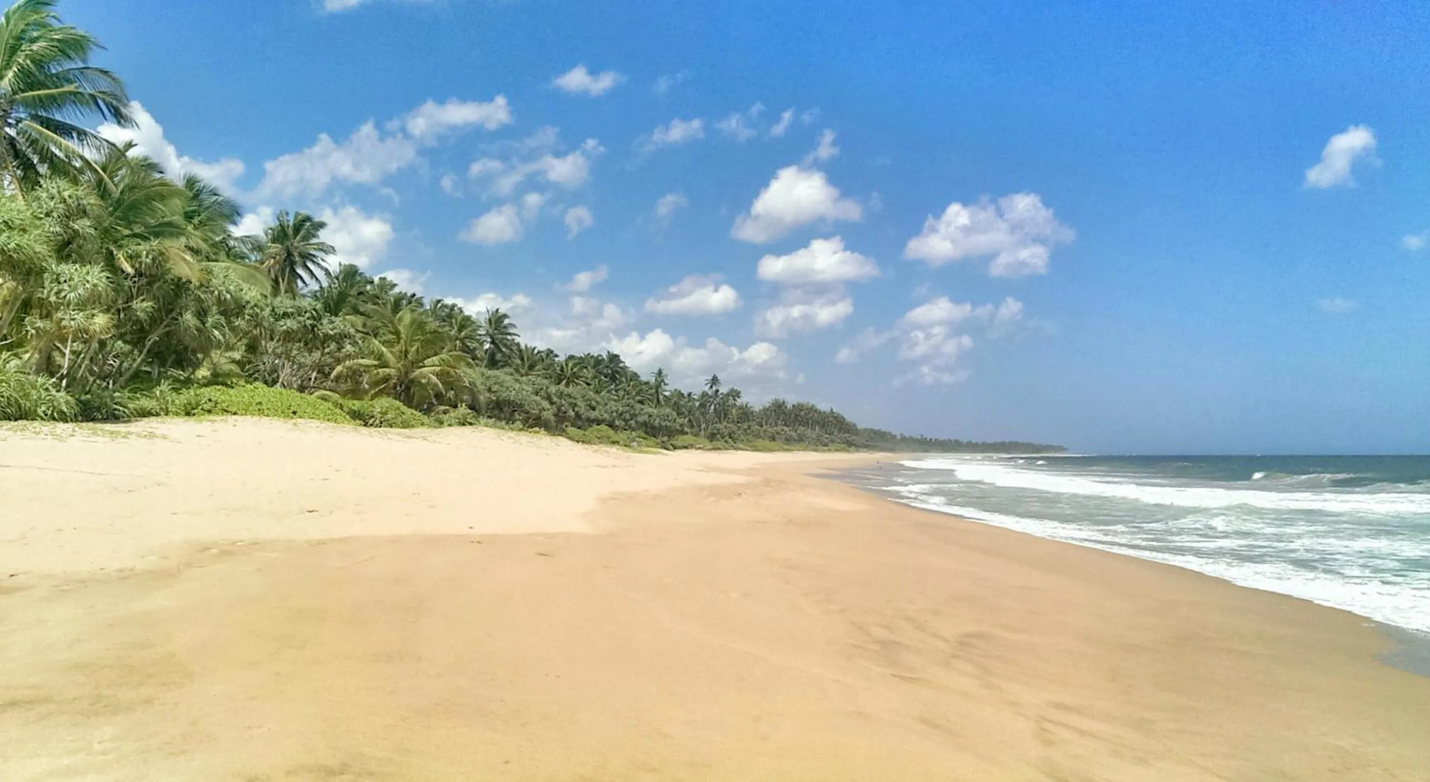 Natural landscape in Good Karma