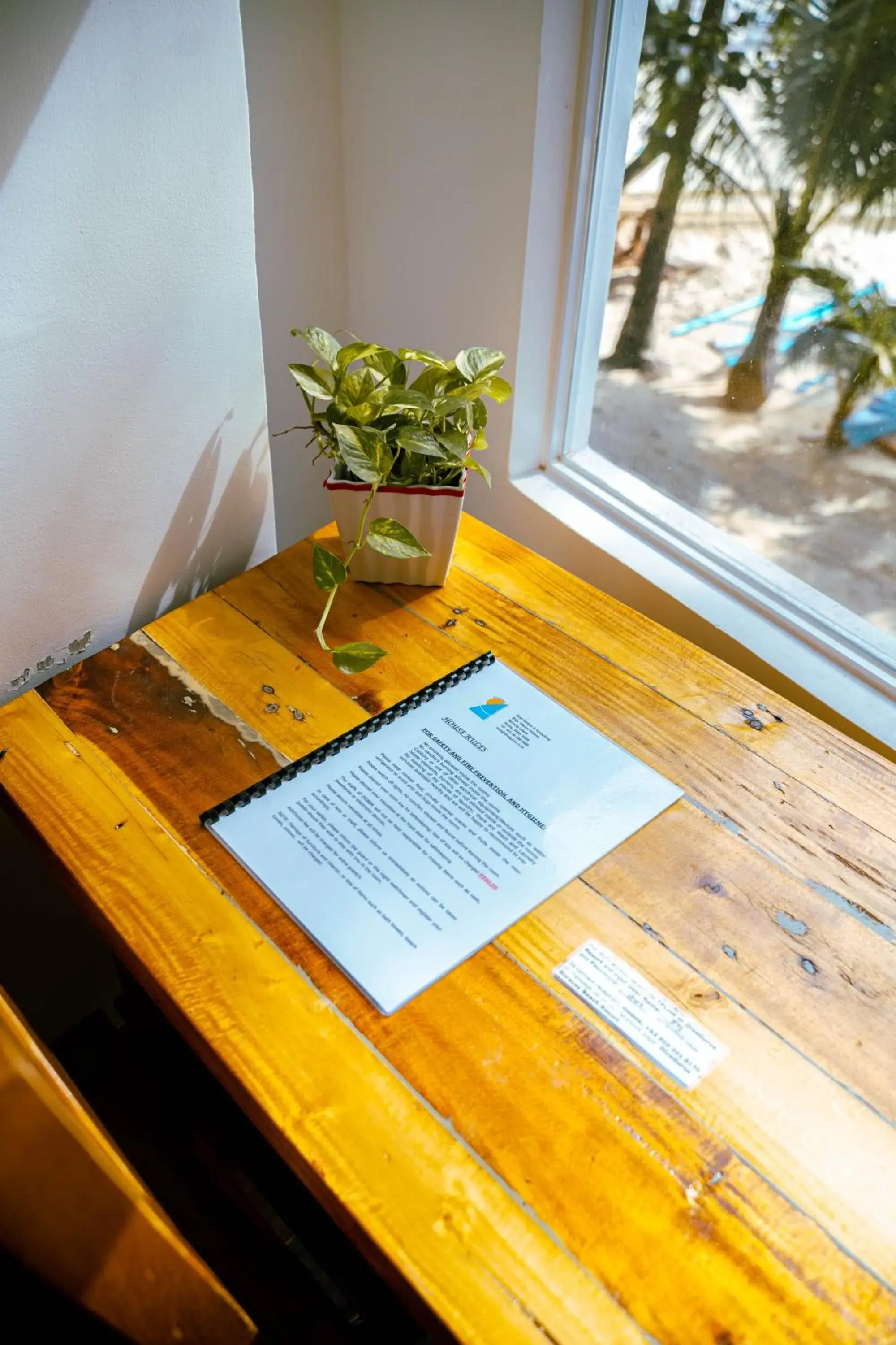 View (from property/room) in DiveGurus Boracay Beach Resort View (from property/room) in DiveGurus Boracay Beach Resort