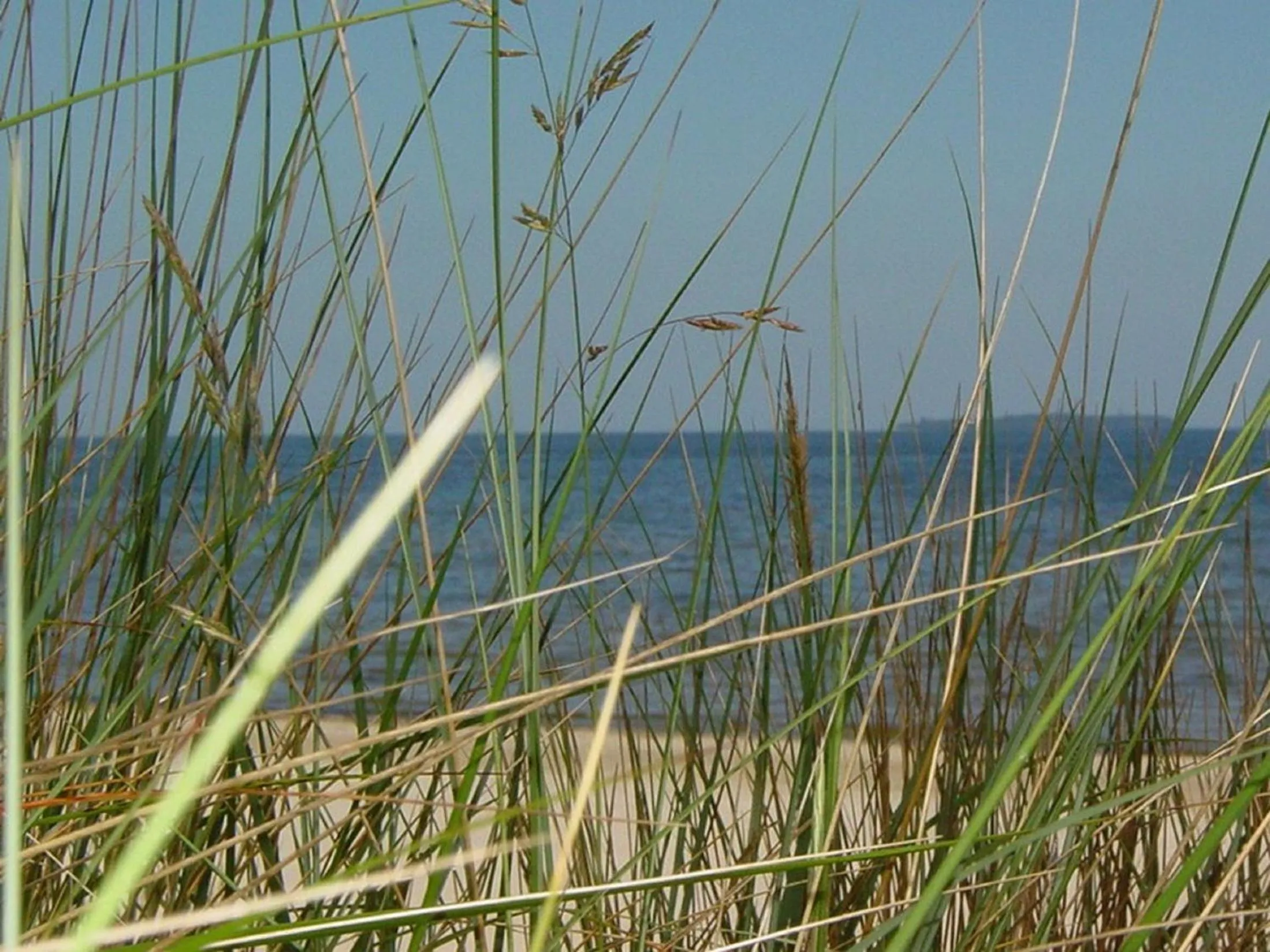 Beach in Hotel Villa Strandrose