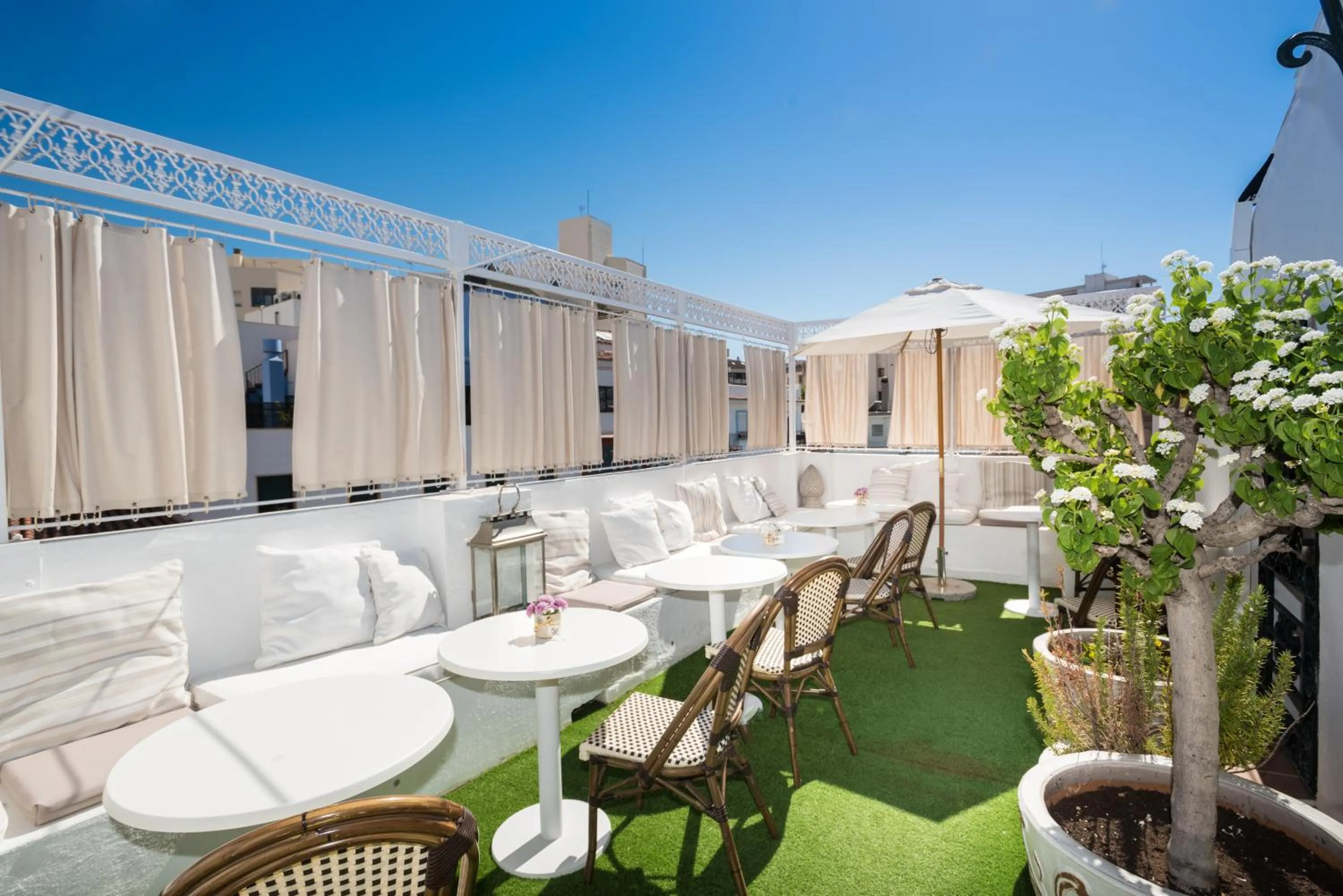 Garden in The Town House