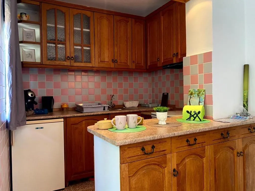 Kitchen or kitchenette in Family Hotel Argo