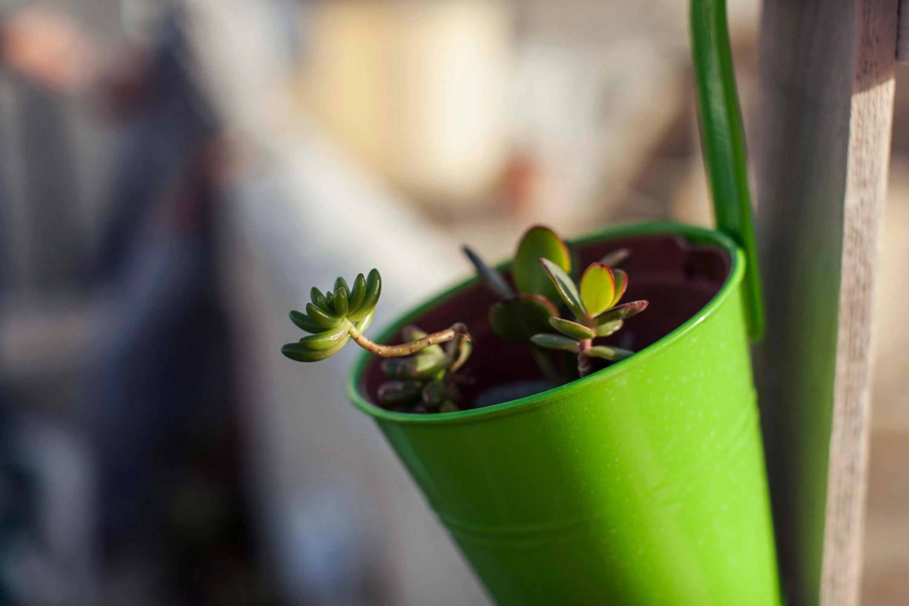 Balcony/Terrace in Granny's Inn Hostel