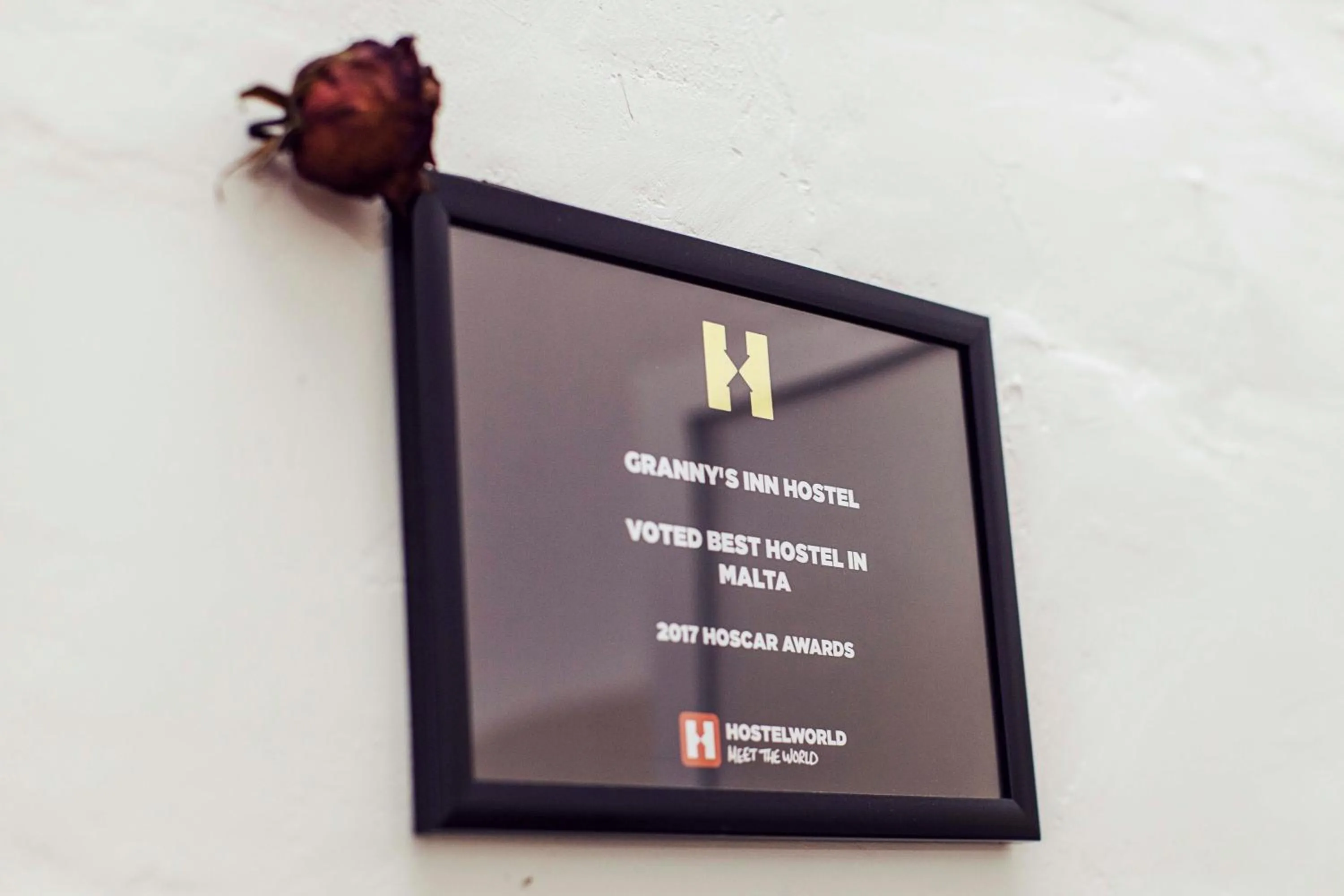 Certificate/Award in Granny's Inn Hostel